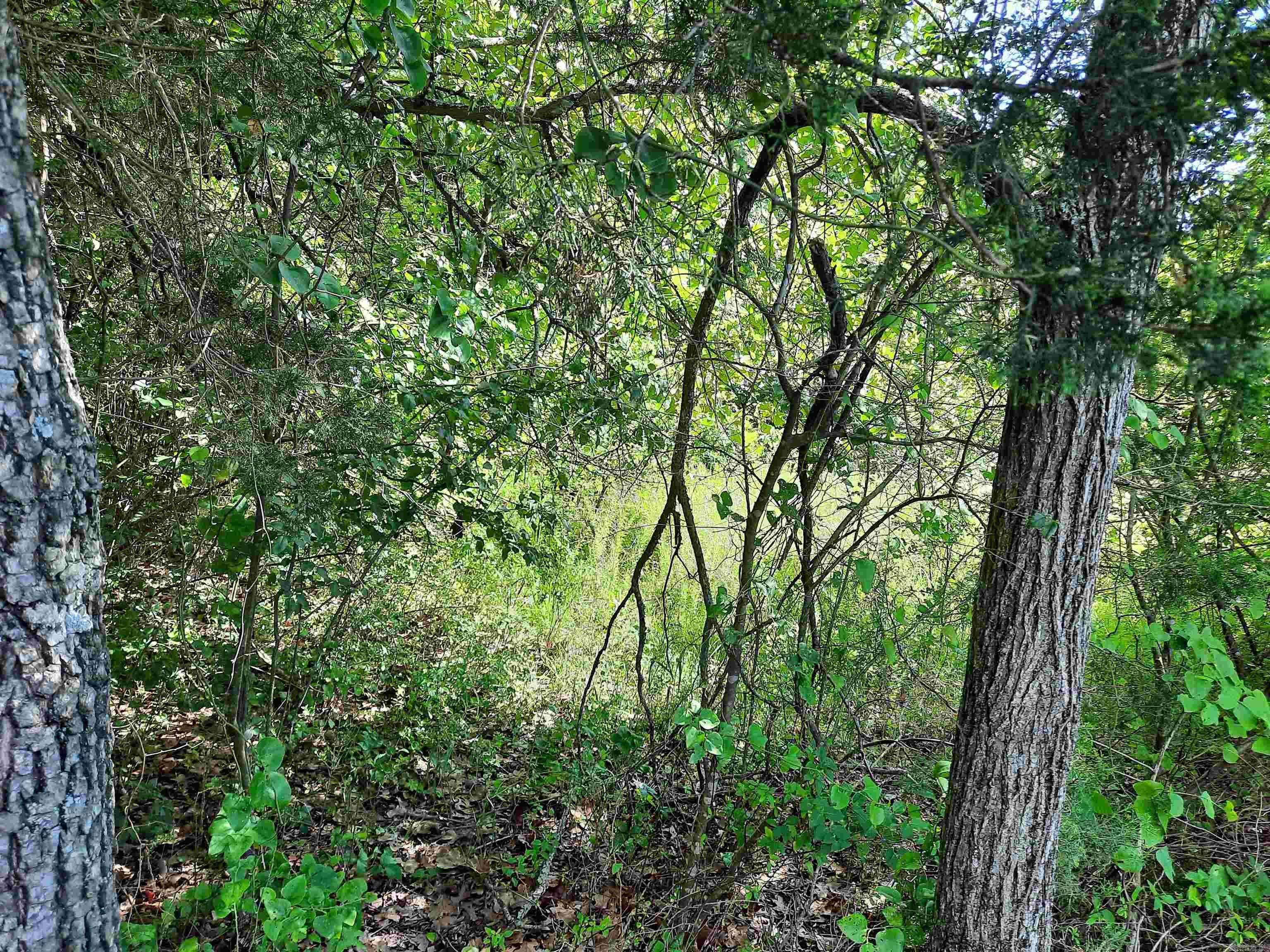 000 Warren  Mountain View, AR