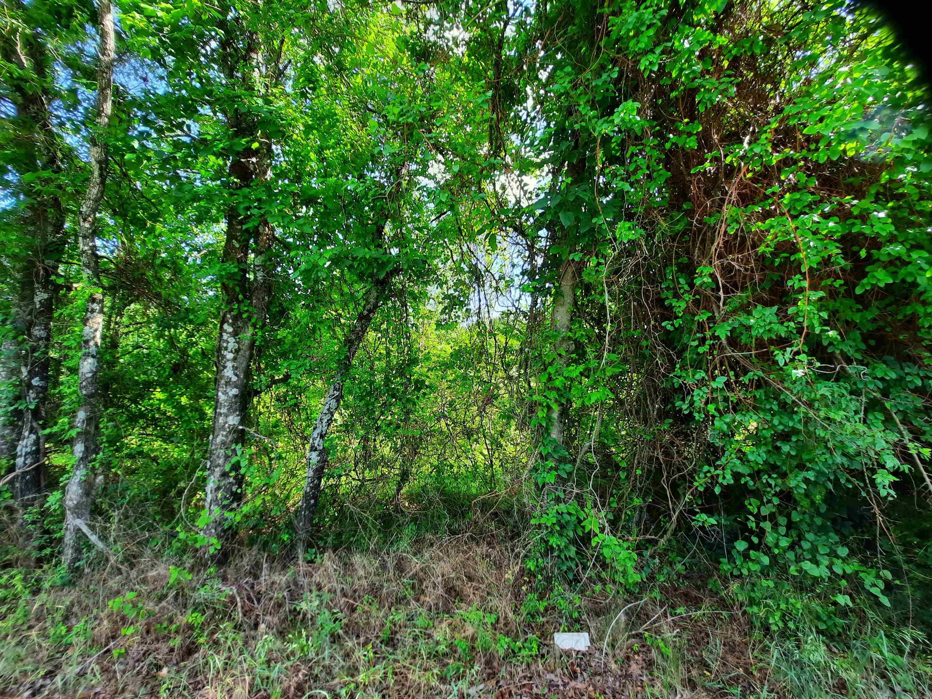 000 Warren  Mountain View, AR