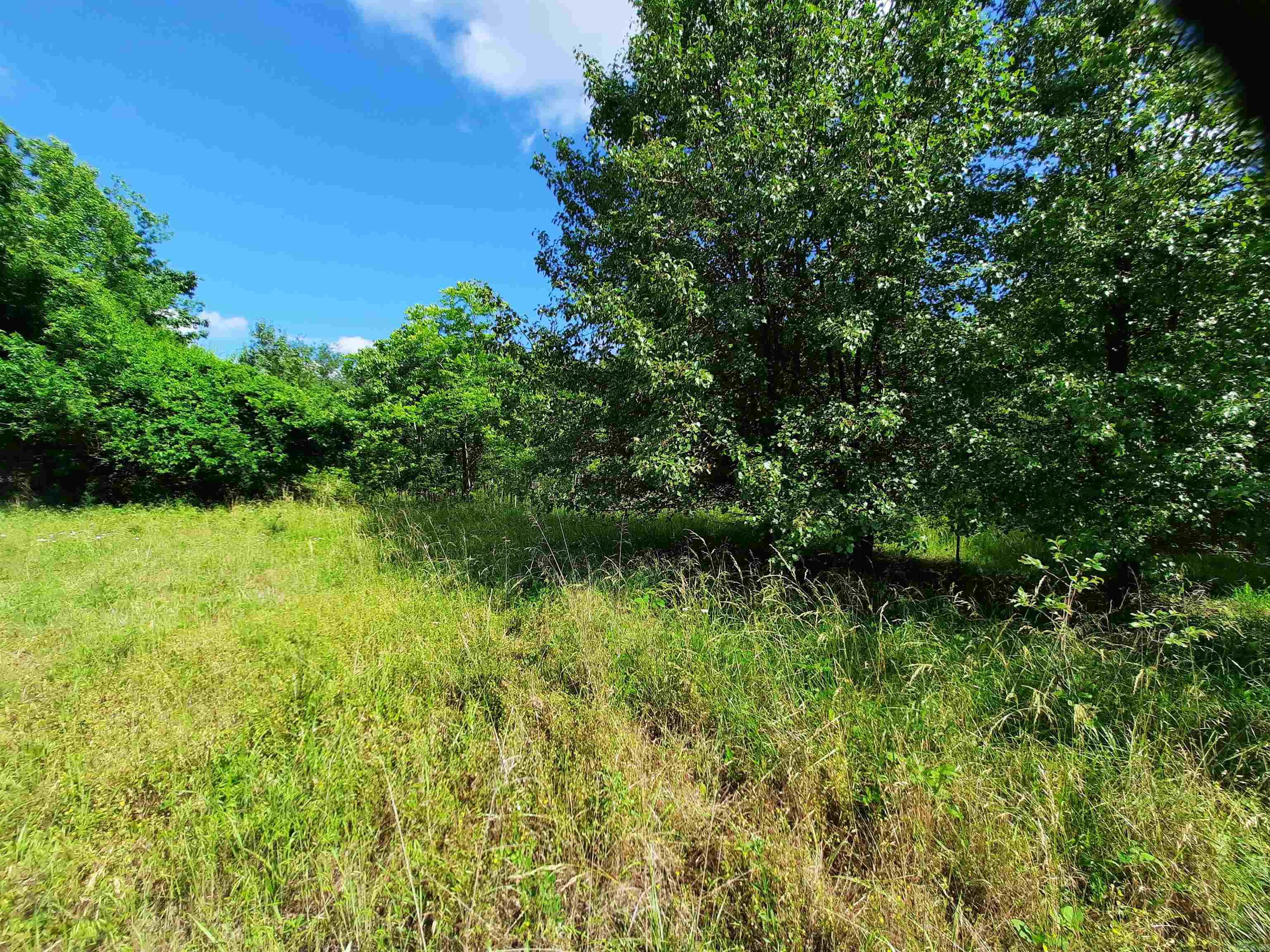 000 Warren  Mountain View, AR