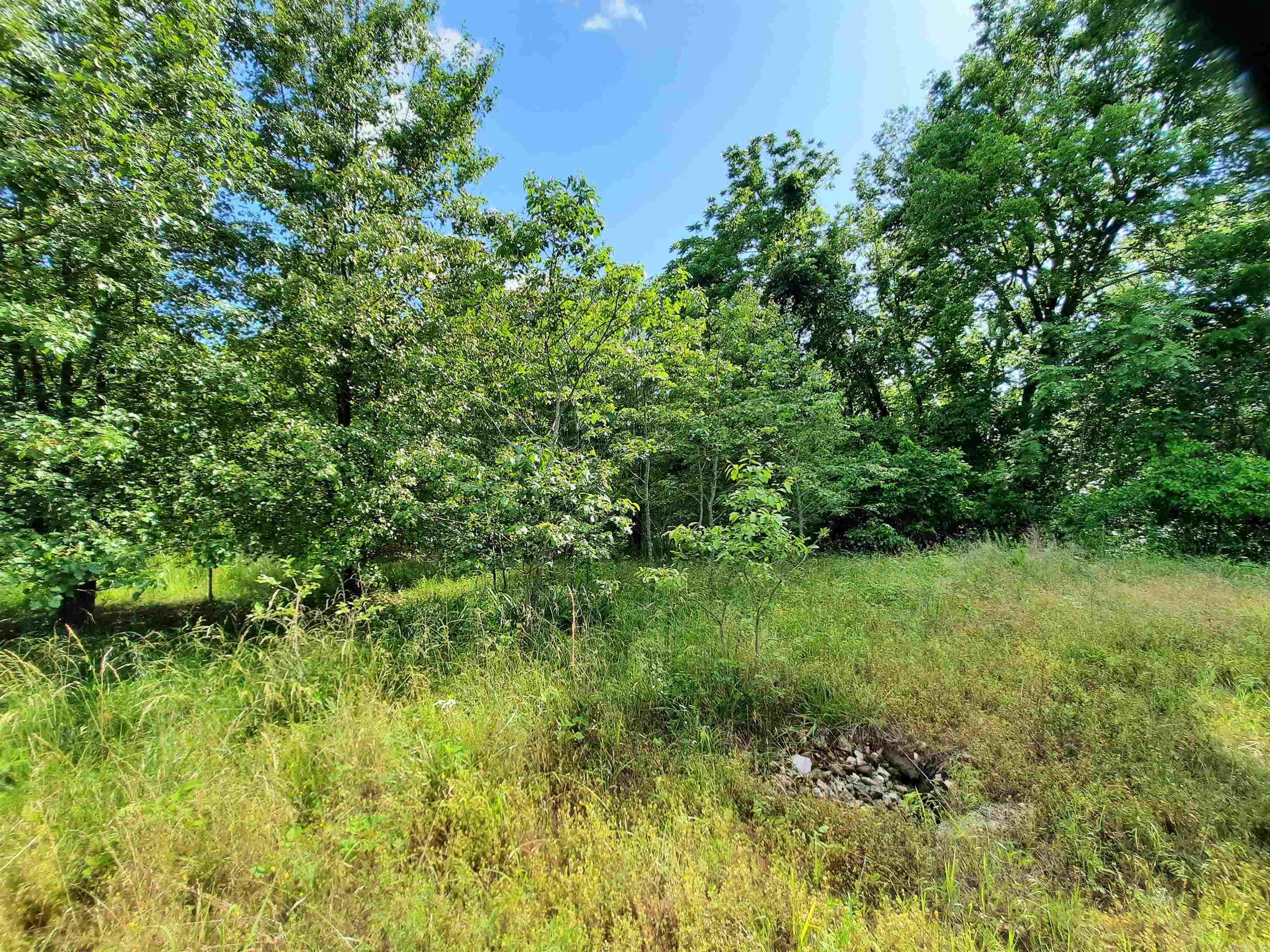 000 Warren  Mountain View, AR