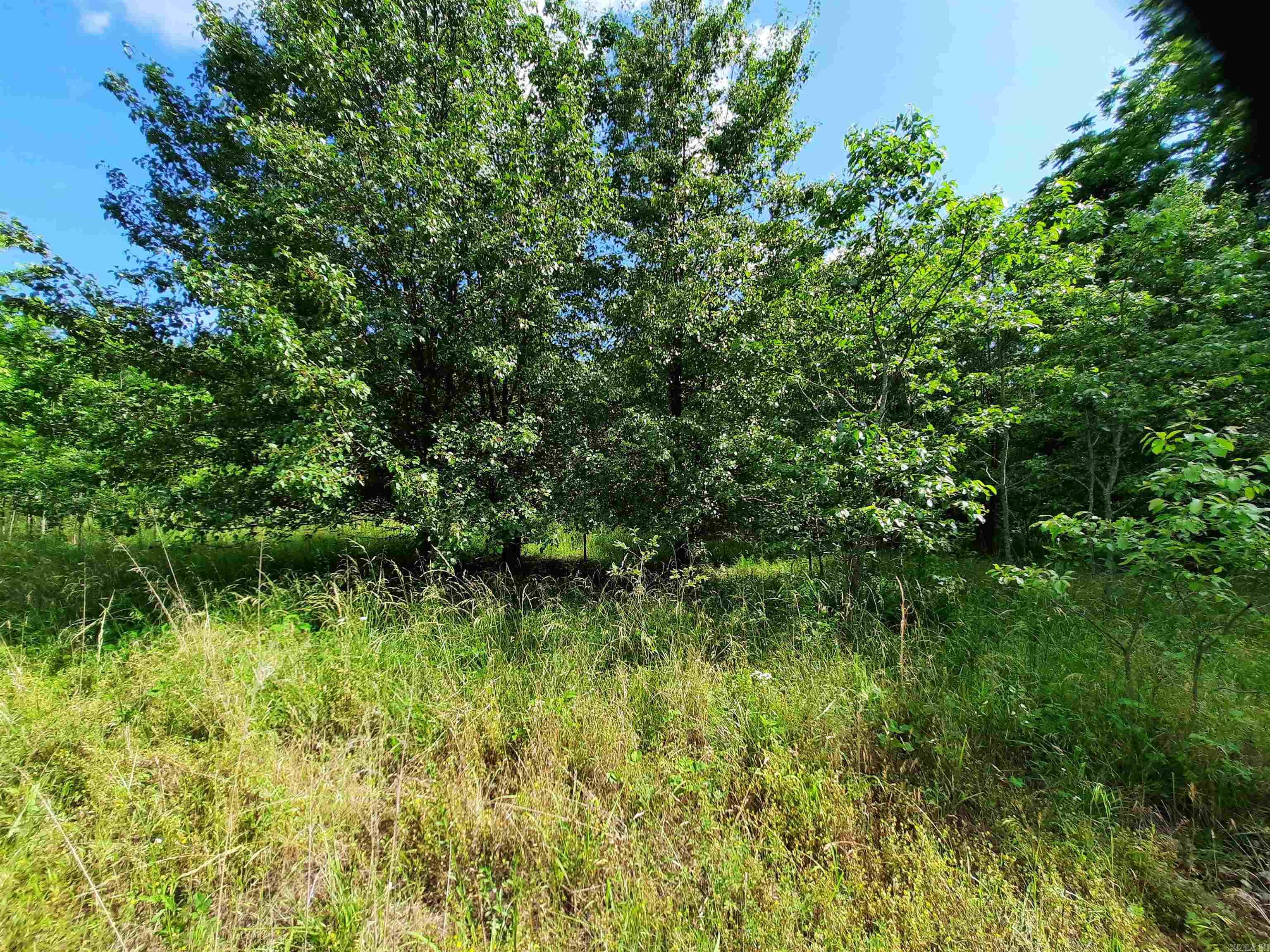 000 Warren  Mountain View, AR