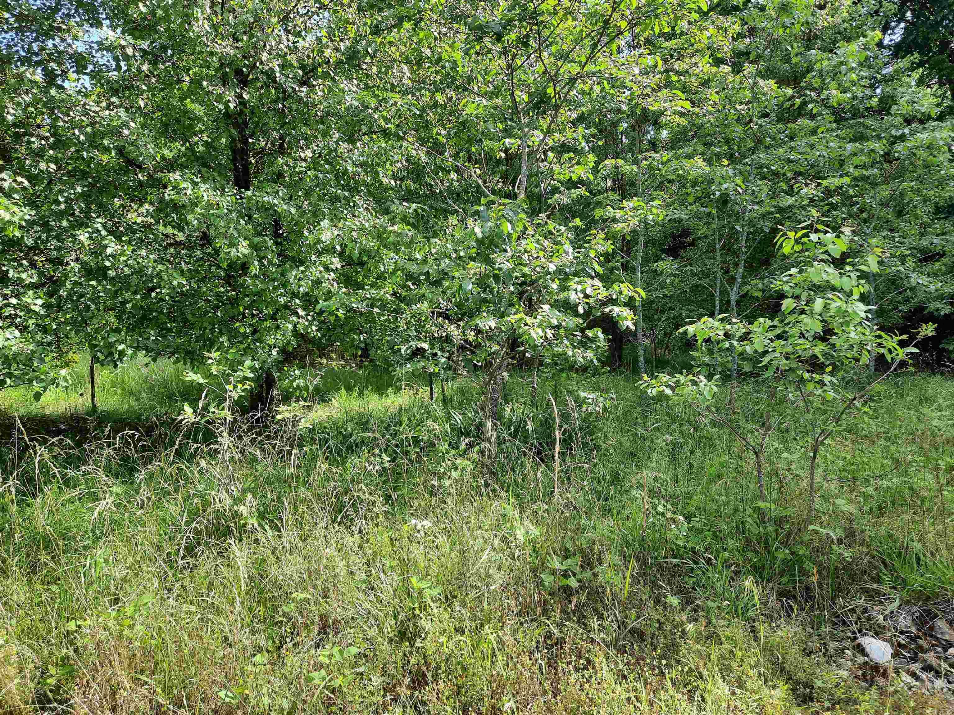 000 Warren  Mountain View, AR