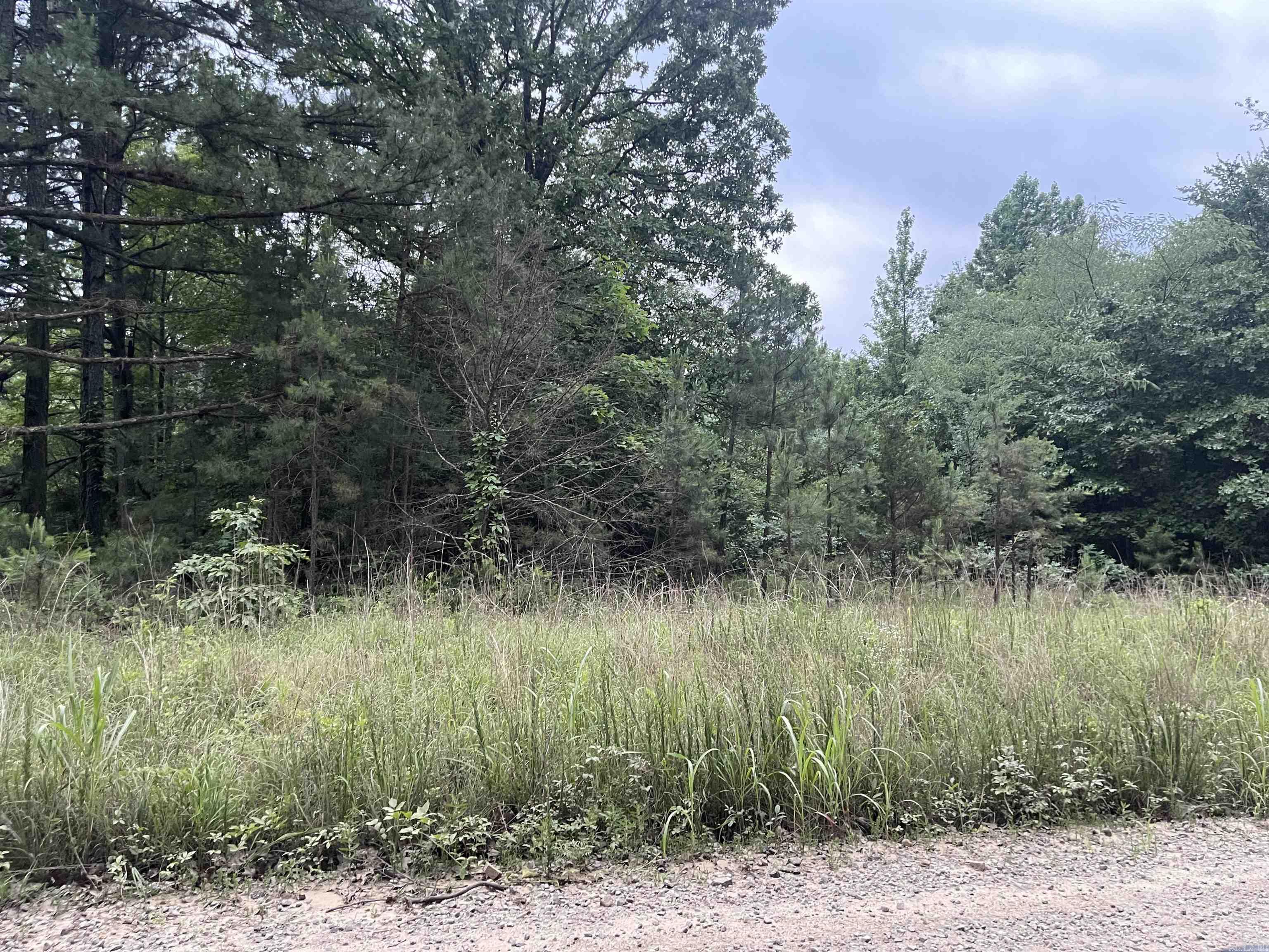 0 Mt Olive — photo 3
