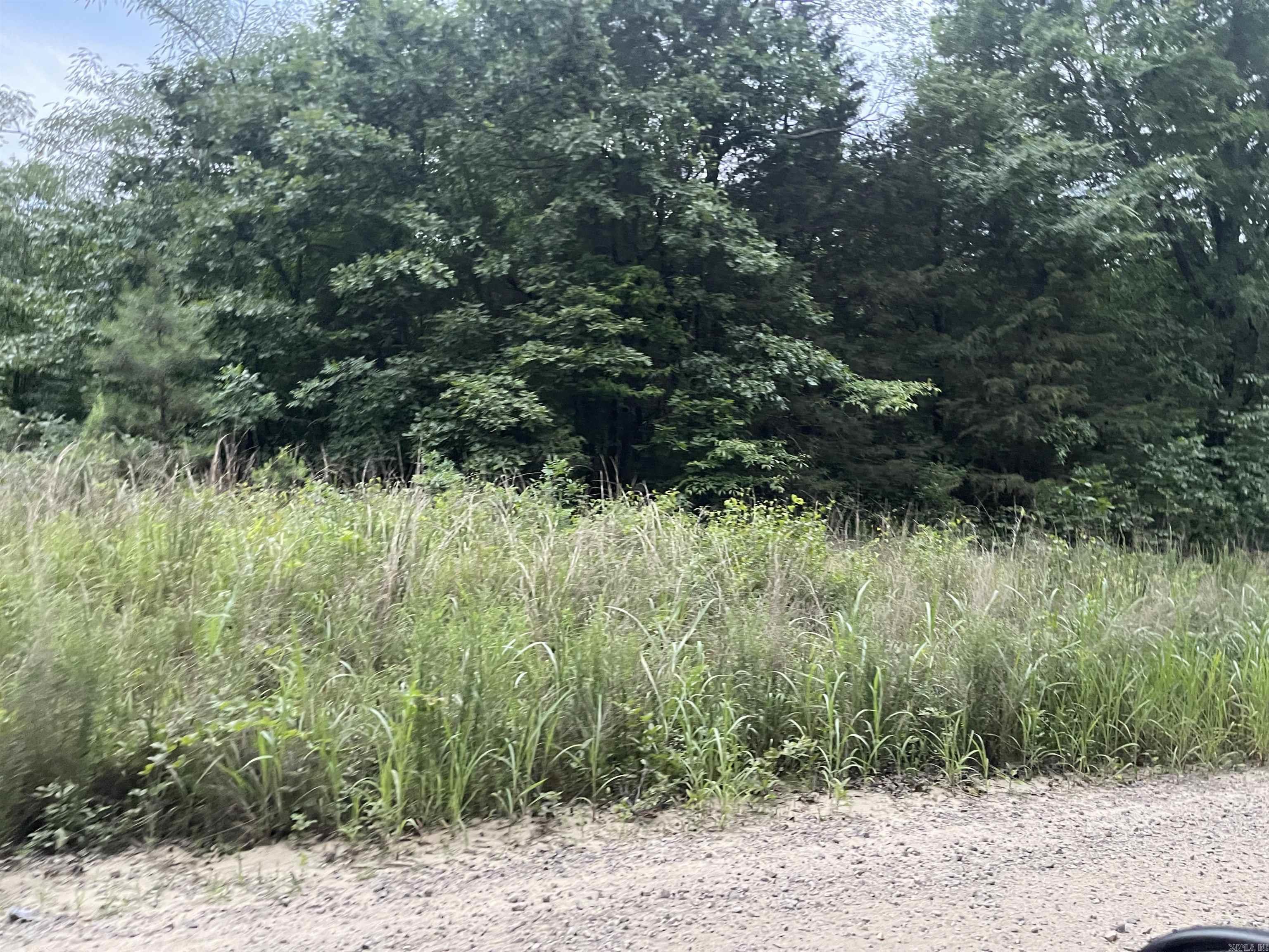 0 Mt Olive — photo 4