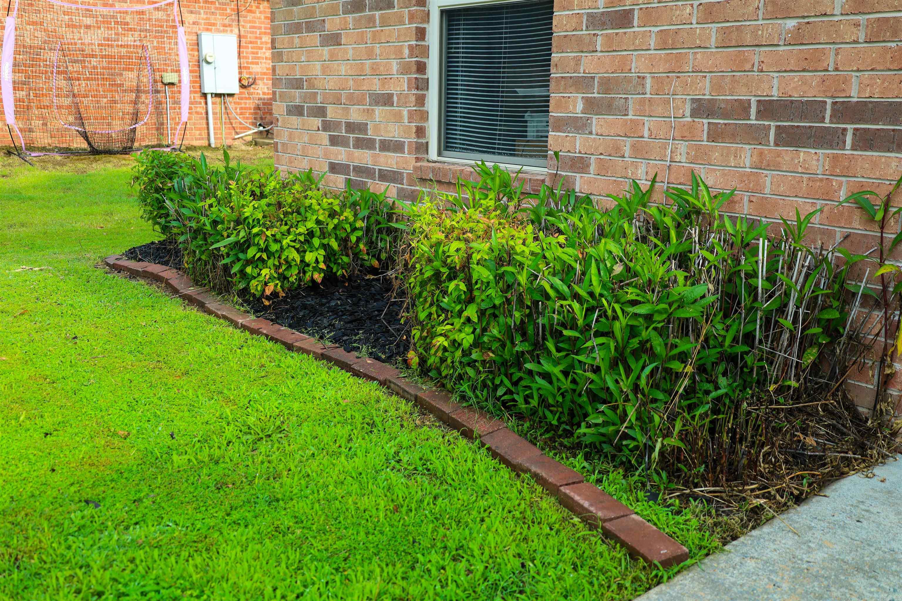 20 Apricot Dr — photo 5