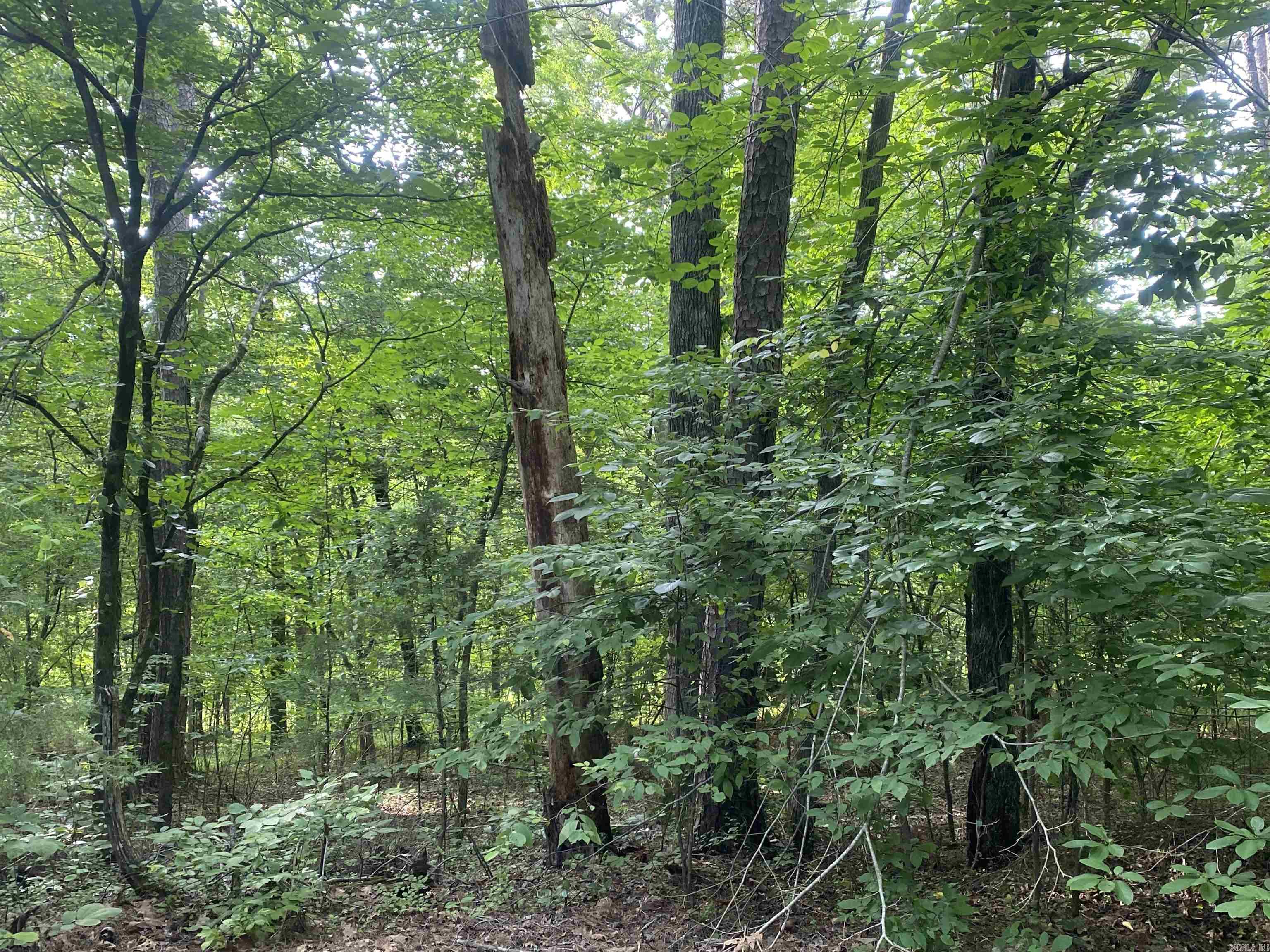 7 Camello  Hot Springs Village, AR