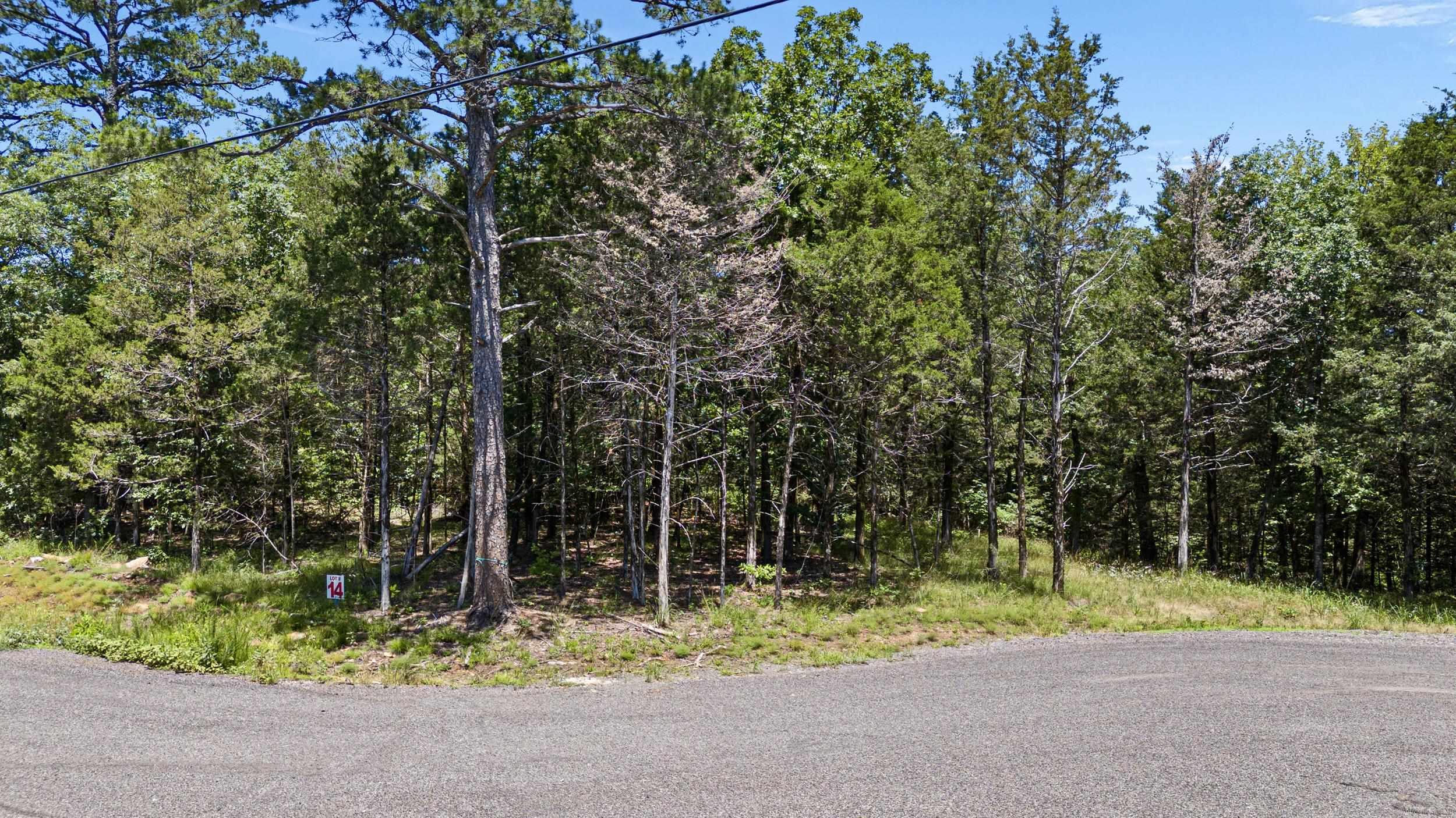 553 Apple Lot #14 Russellville, AR