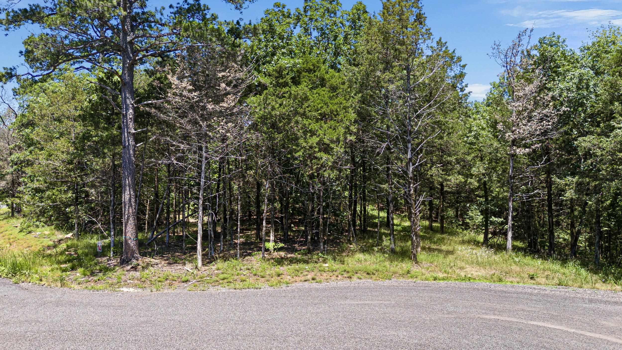 553 Apple Lot #14 Russellville, AR