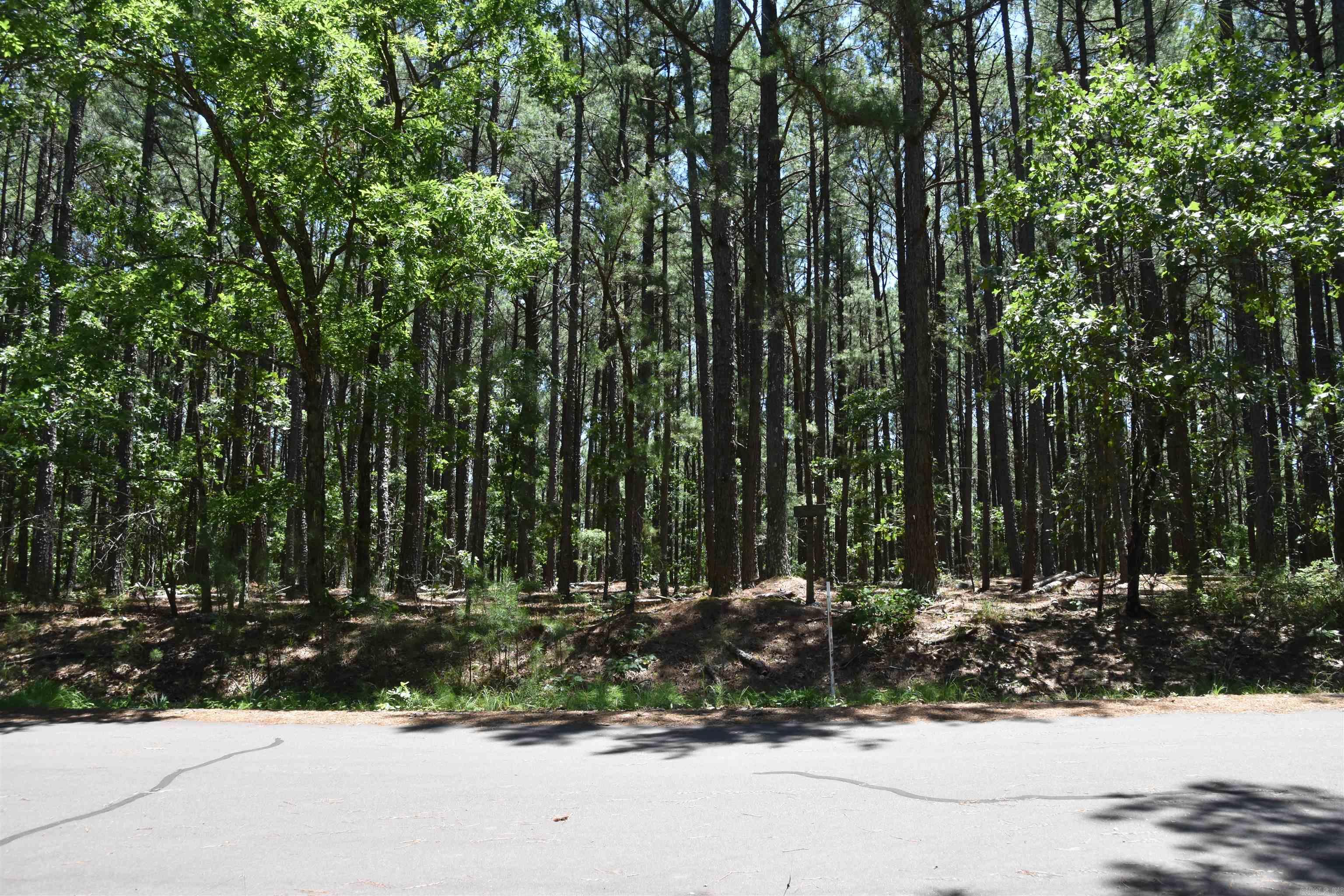 Lot 2 Mandarina  Hot Springs Village, AR