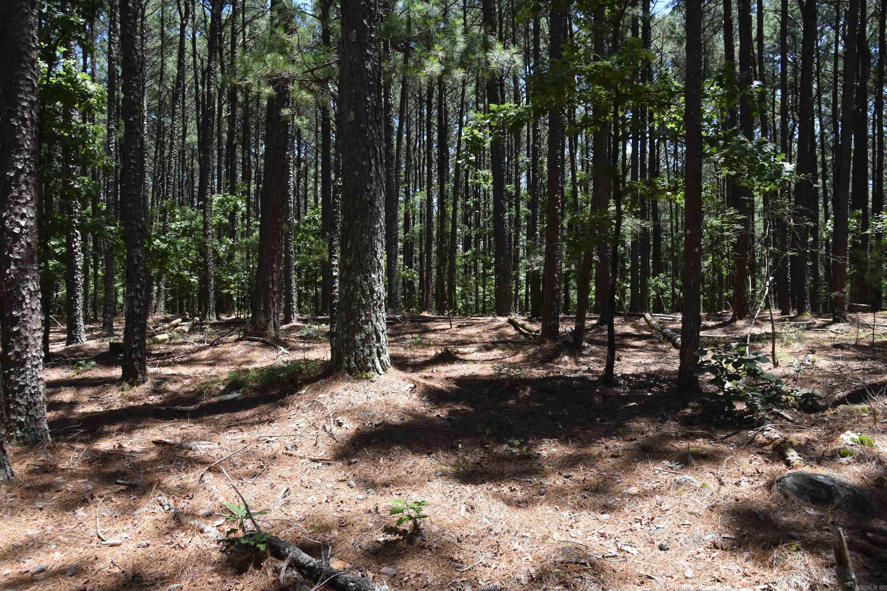 Lot 2 Mandarina  Hot Springs Village, AR