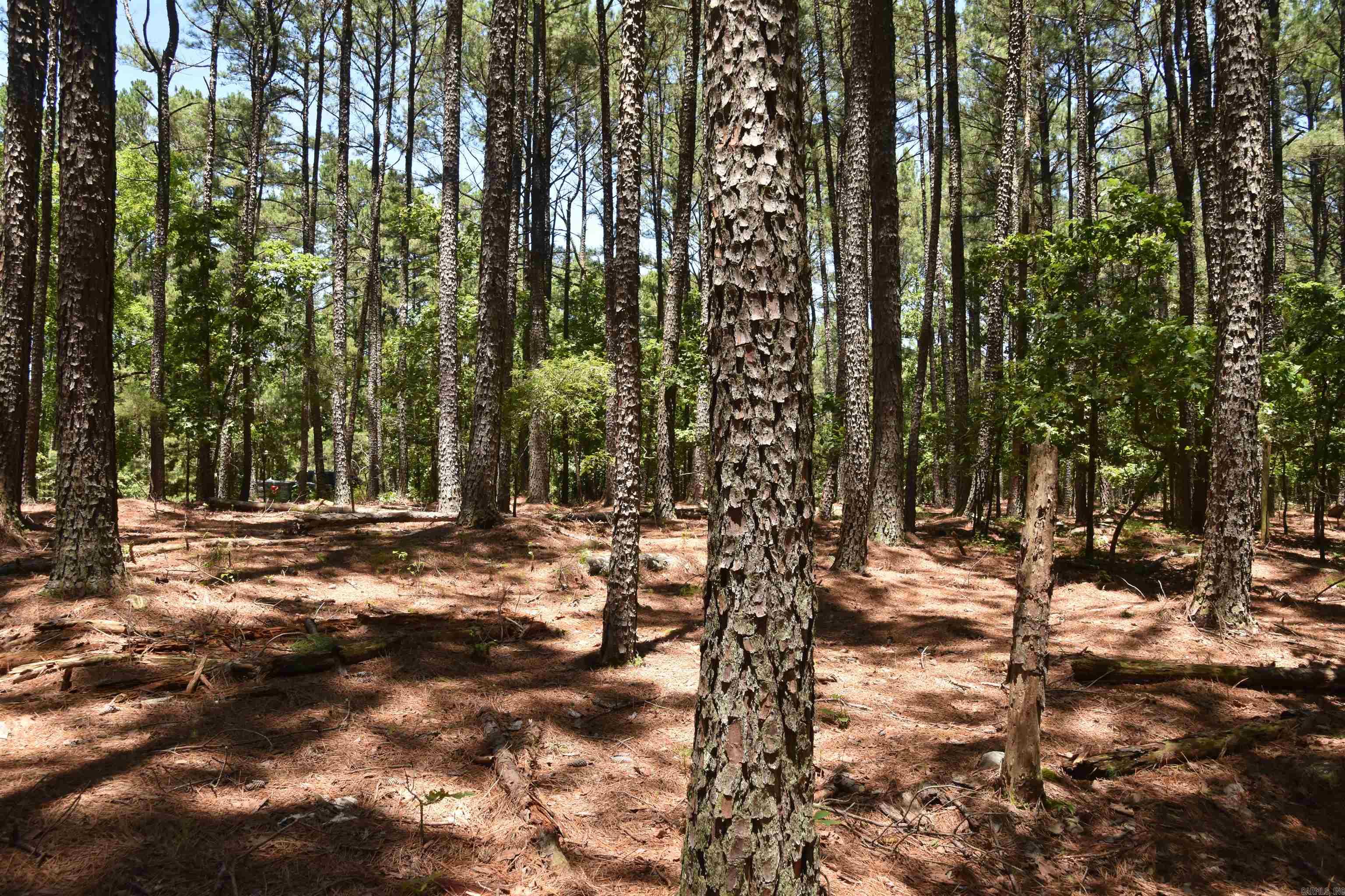 Lot 2 Mandarina  Hot Springs Village, AR