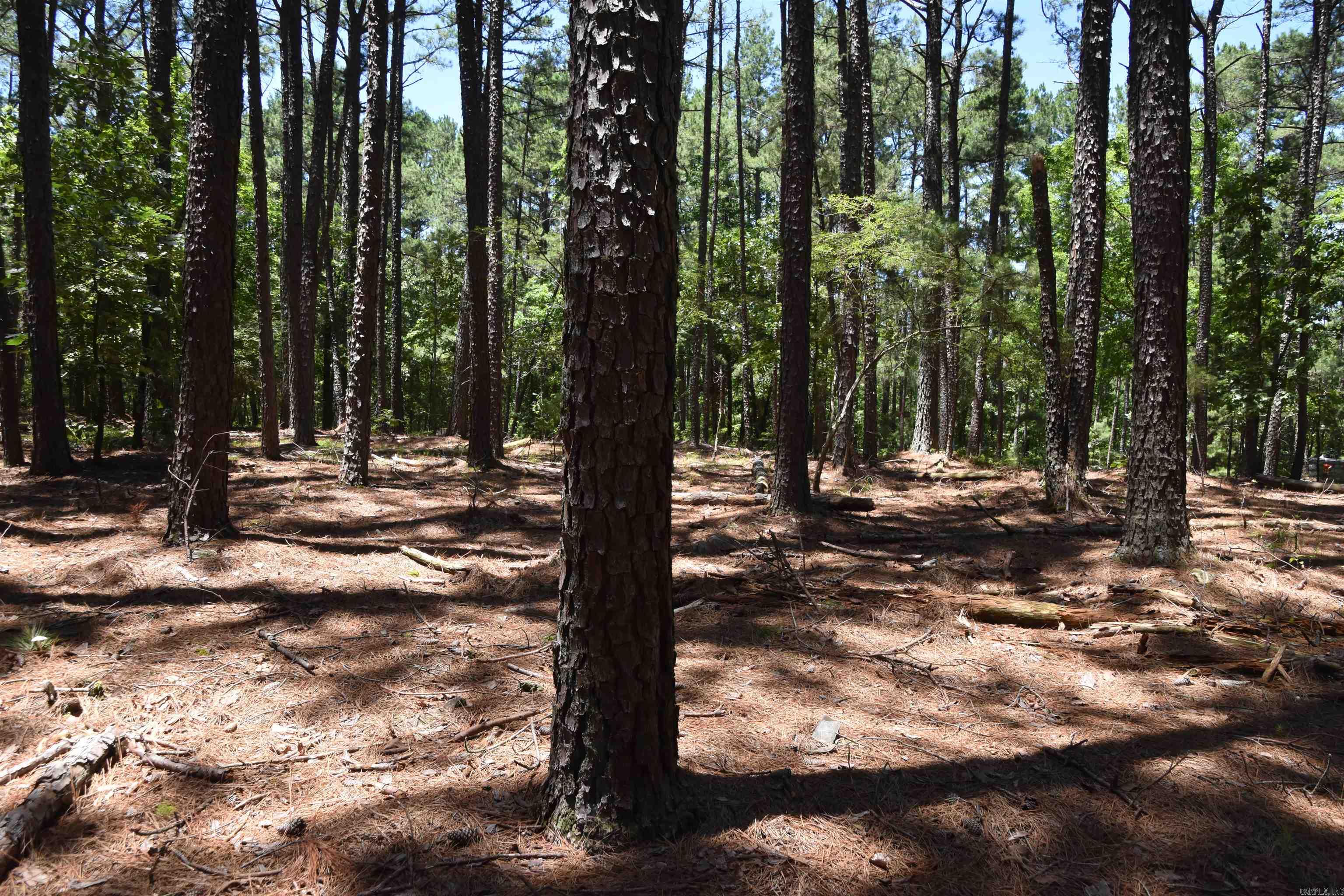 Lot 2 Mandarina  Hot Springs Village, AR