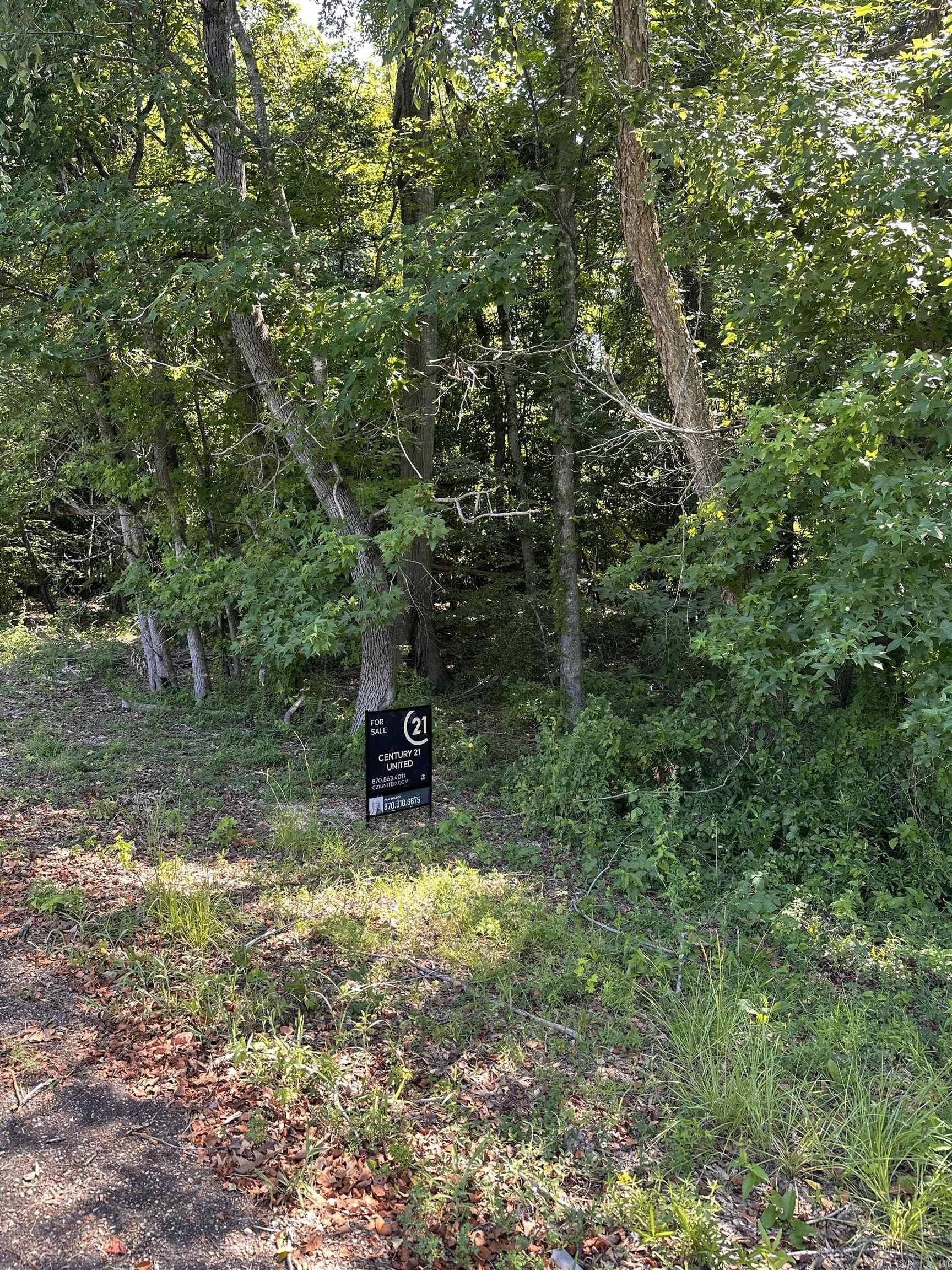 0 Pigeon Hill Rd  El Dorado, AR