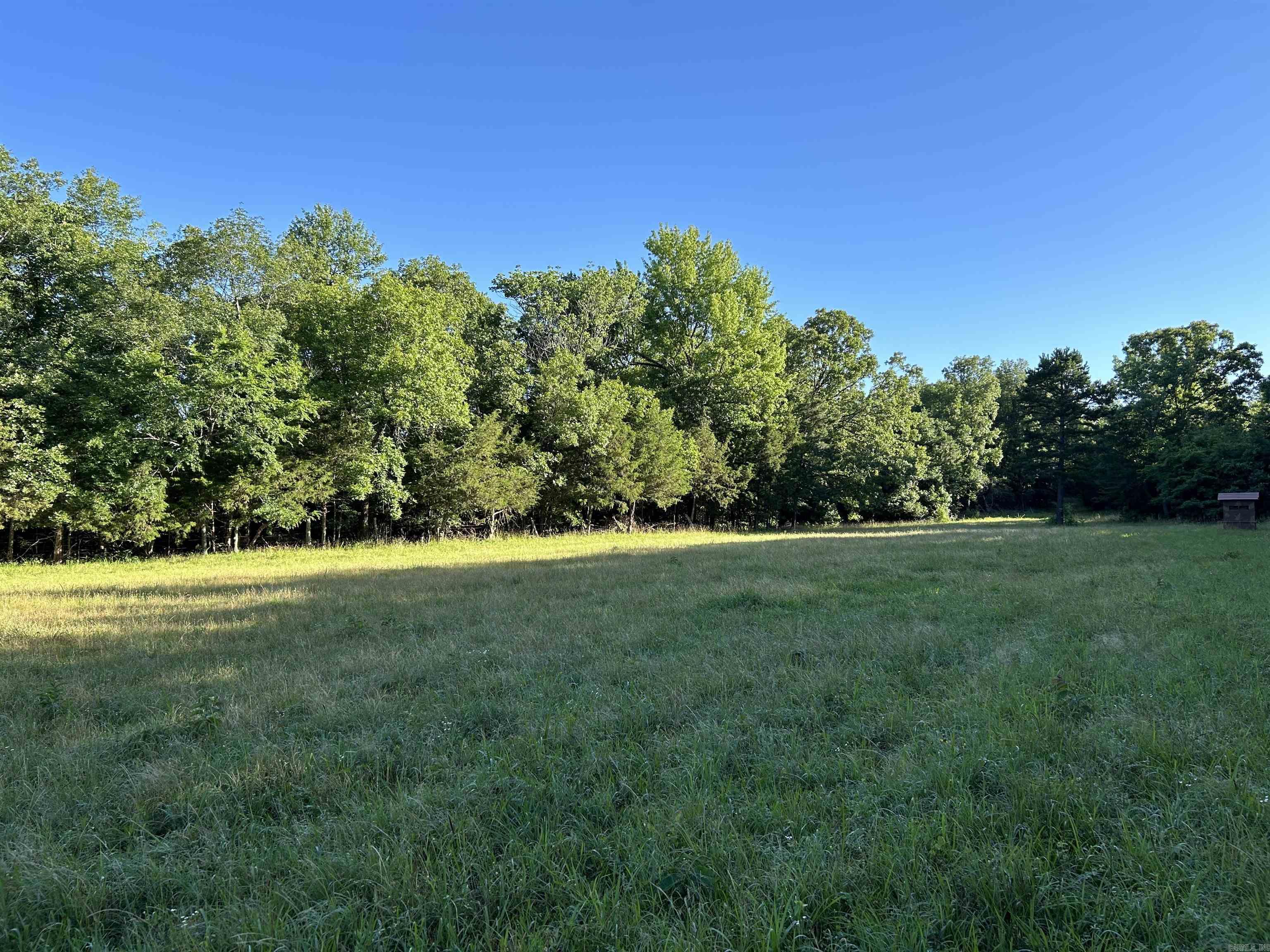 2325 Six Ridge  Drasco, AR