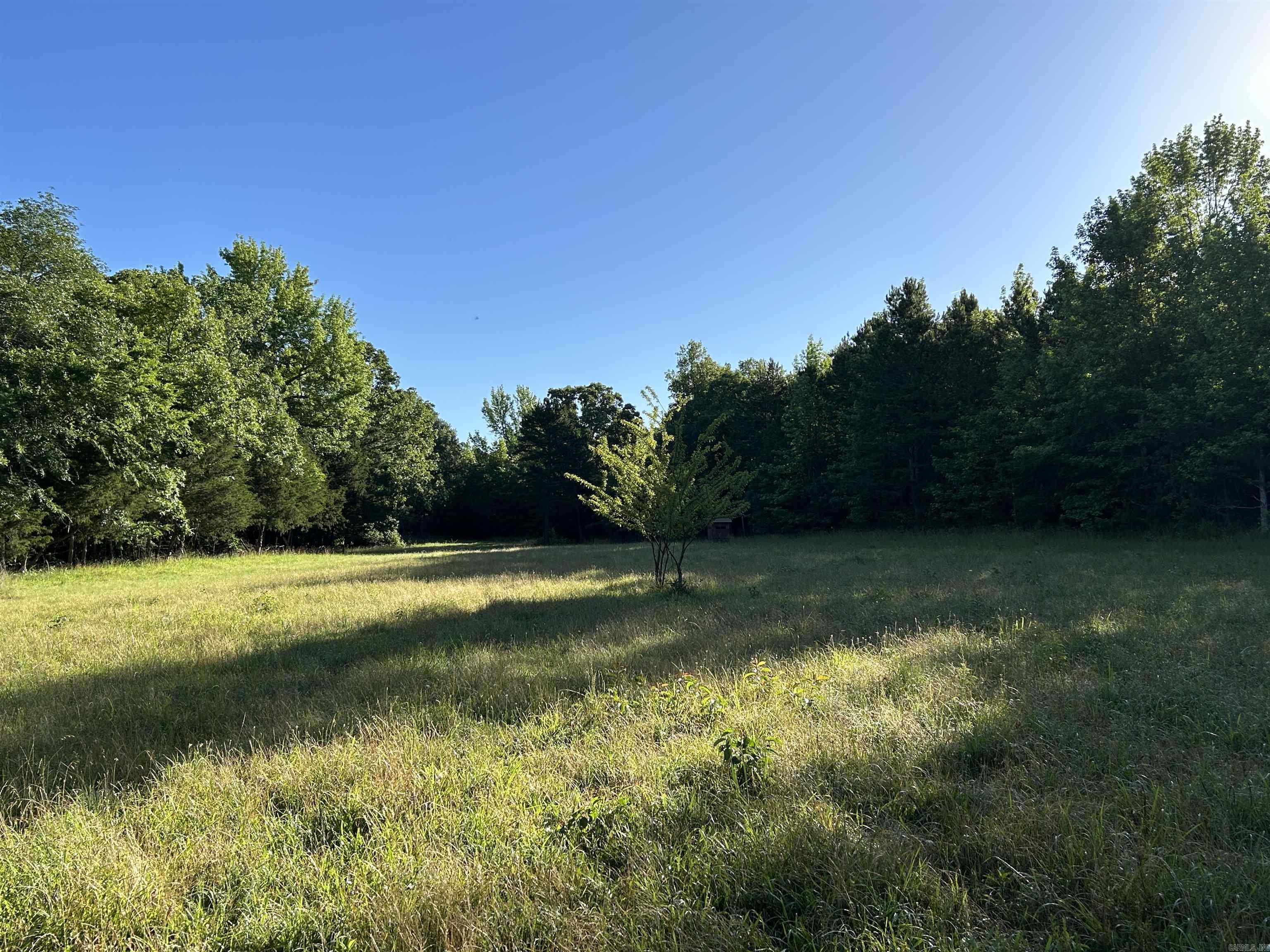 2325 Six Ridge  Drasco, AR