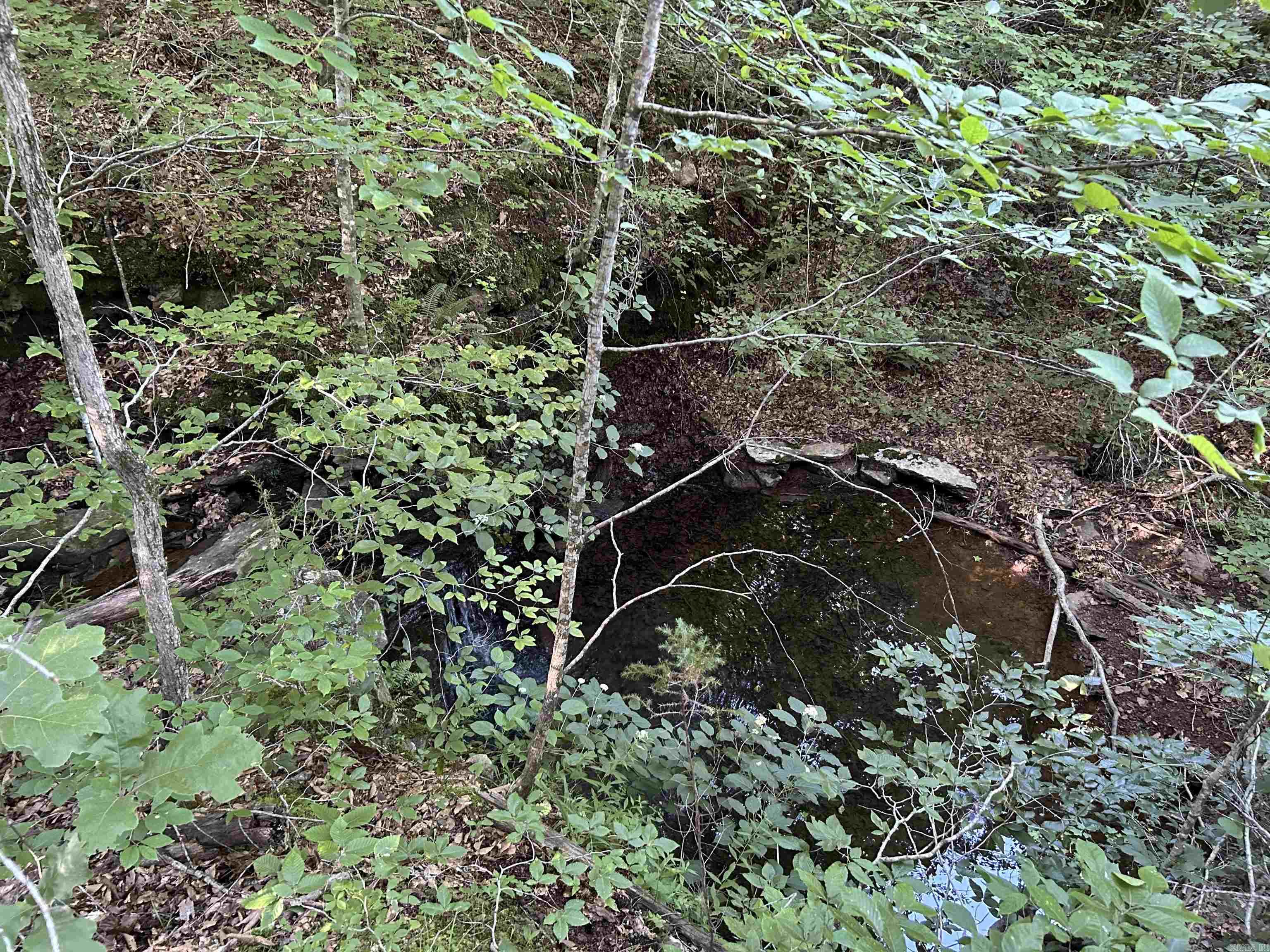 2325 Six Ridge  Drasco, AR