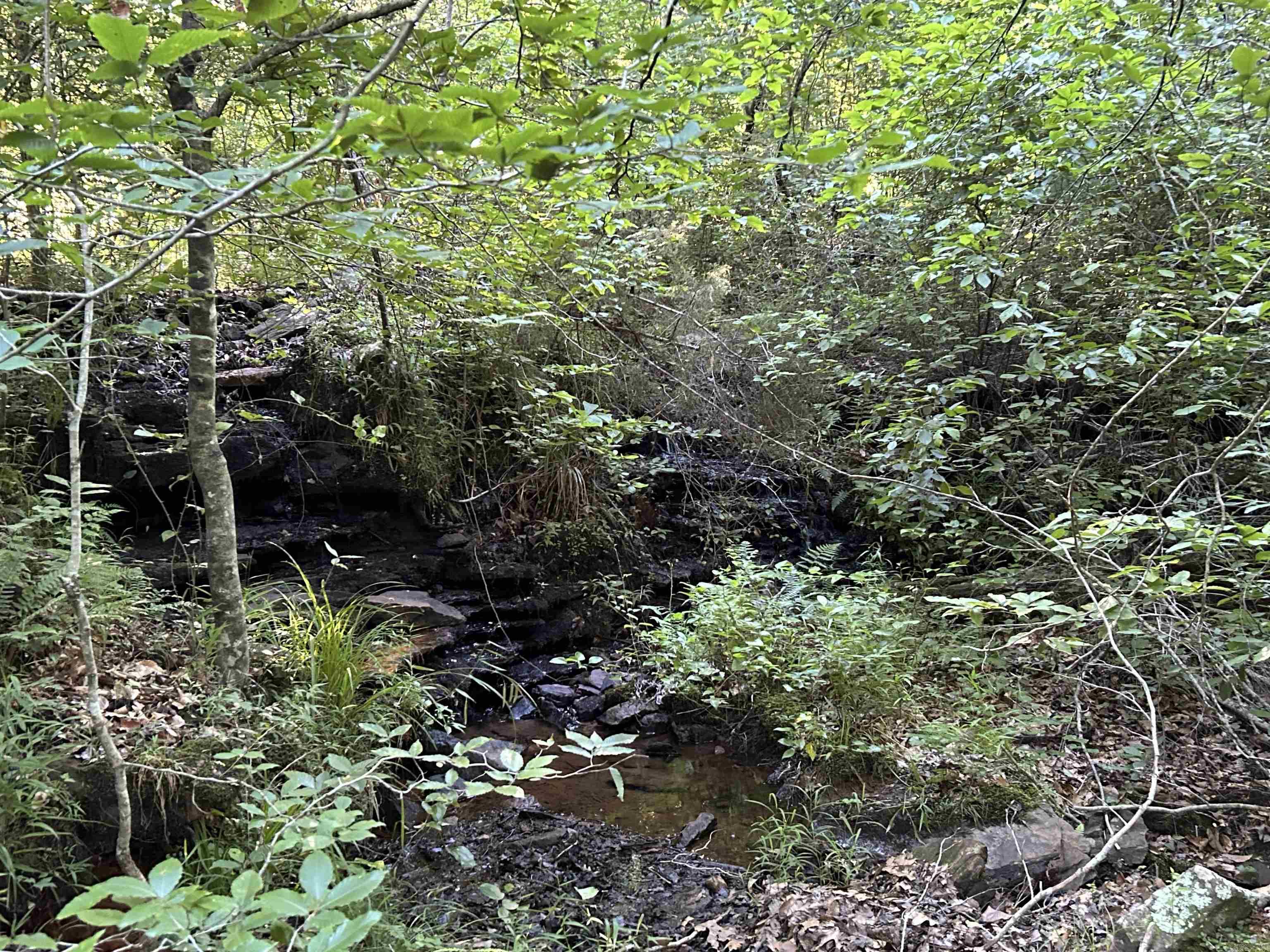 2325 Six Ridge  Drasco, AR