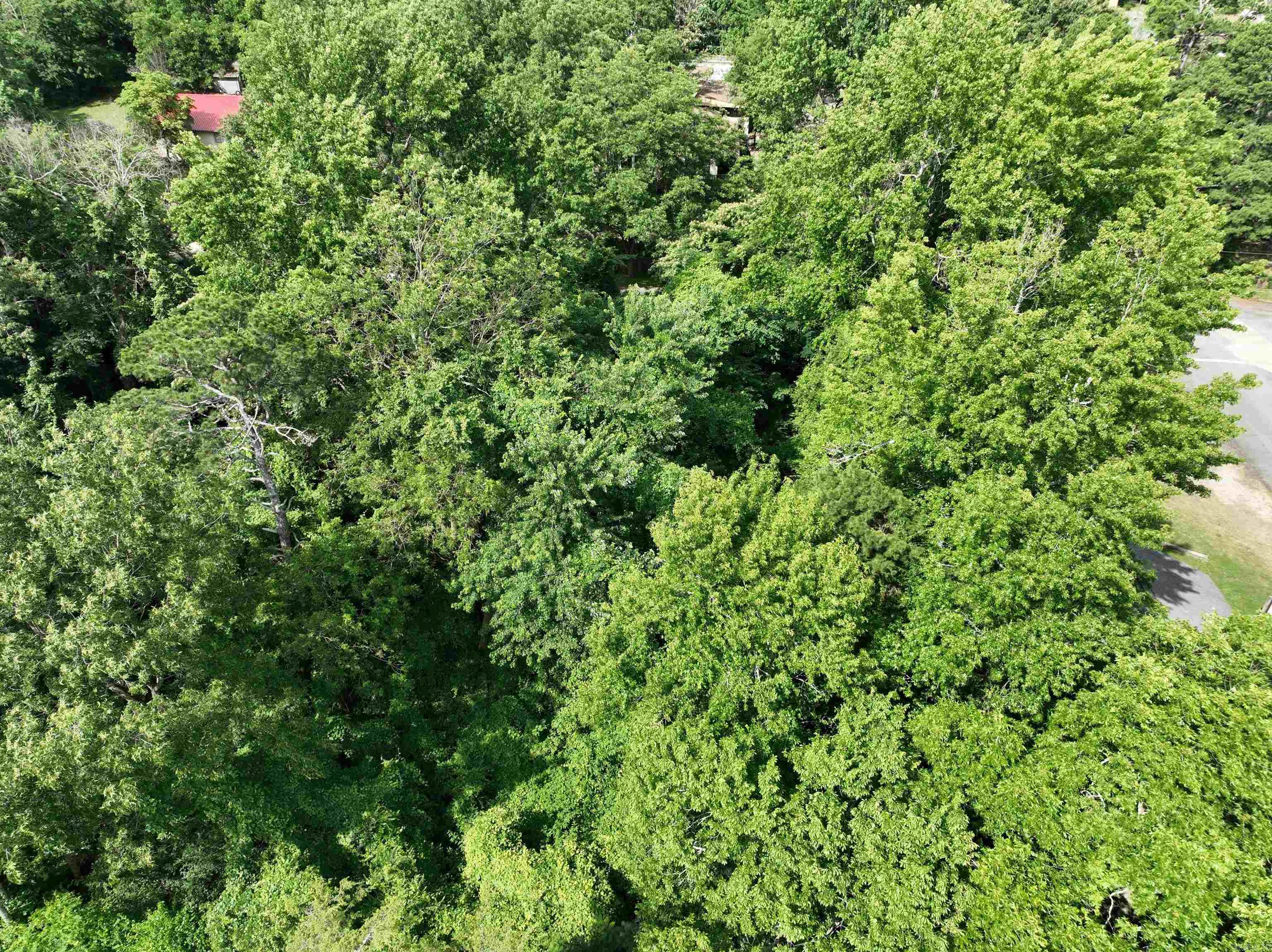 unk DeQueen  Mena, AR