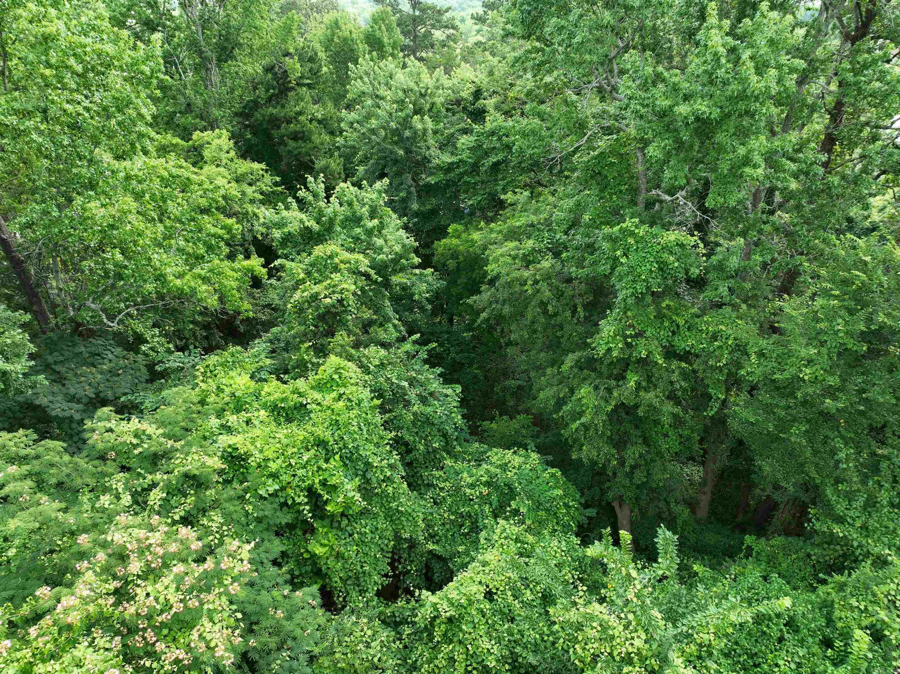 unk DeQueen  Mena, AR