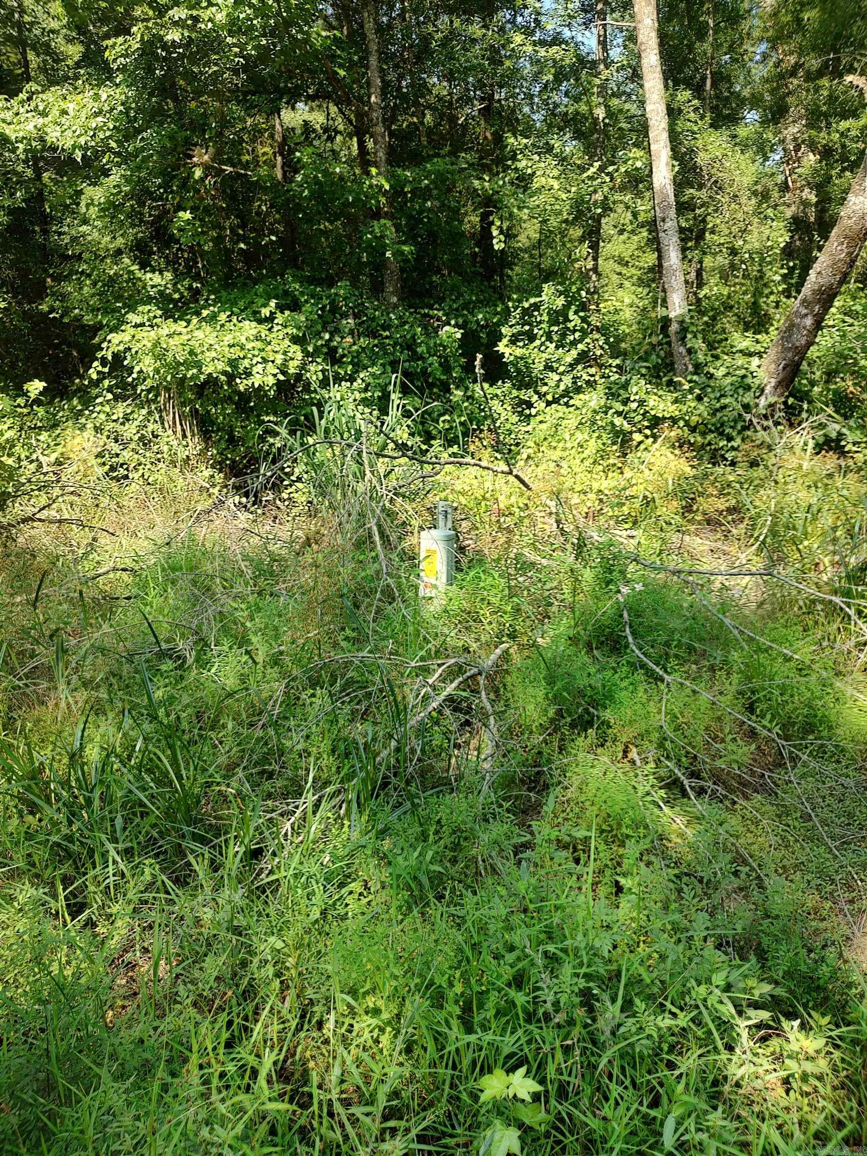 80 acres Calhoun 199  Hampton, AR