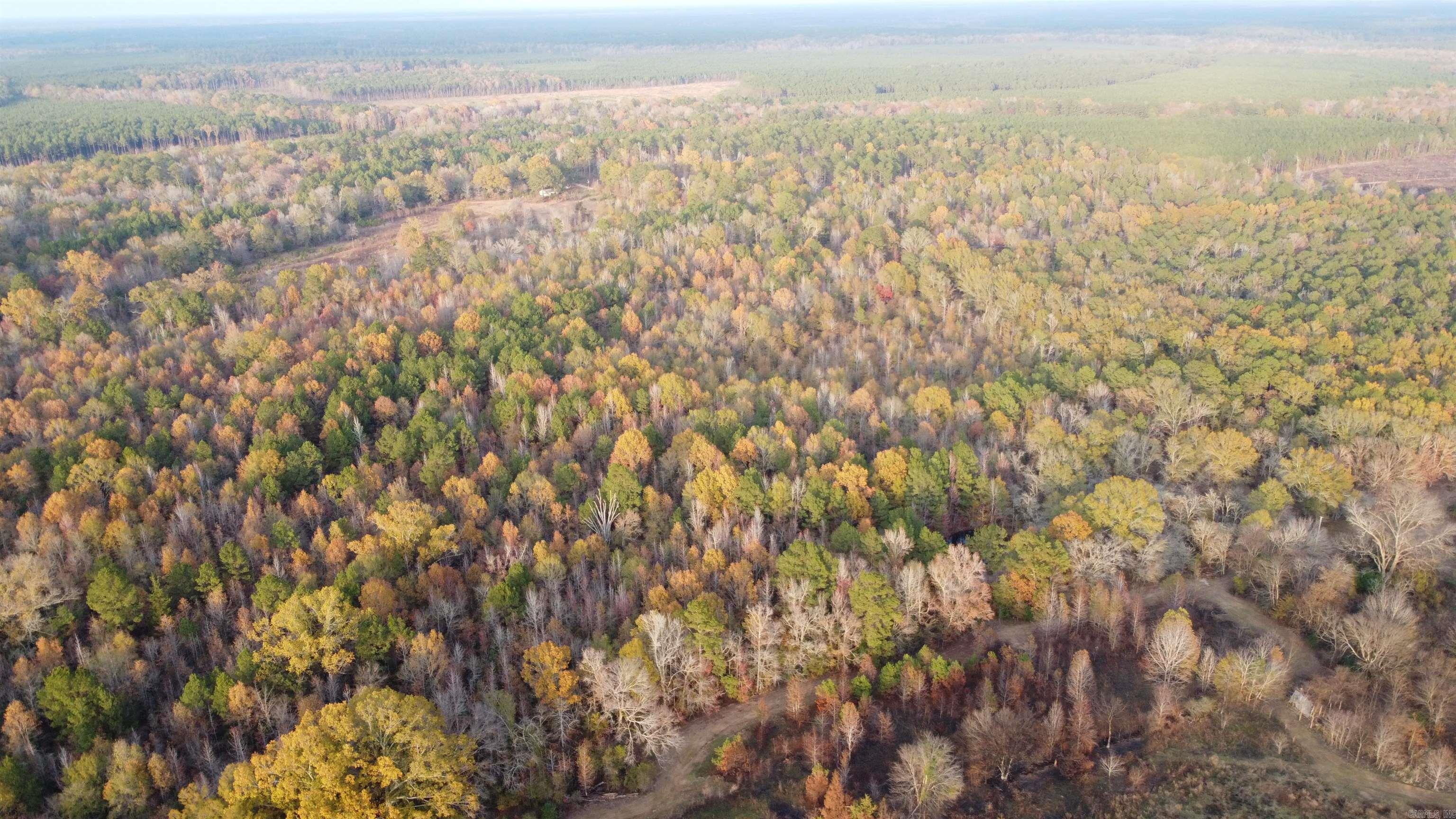 80 acres Calhoun 199  Hampton, AR