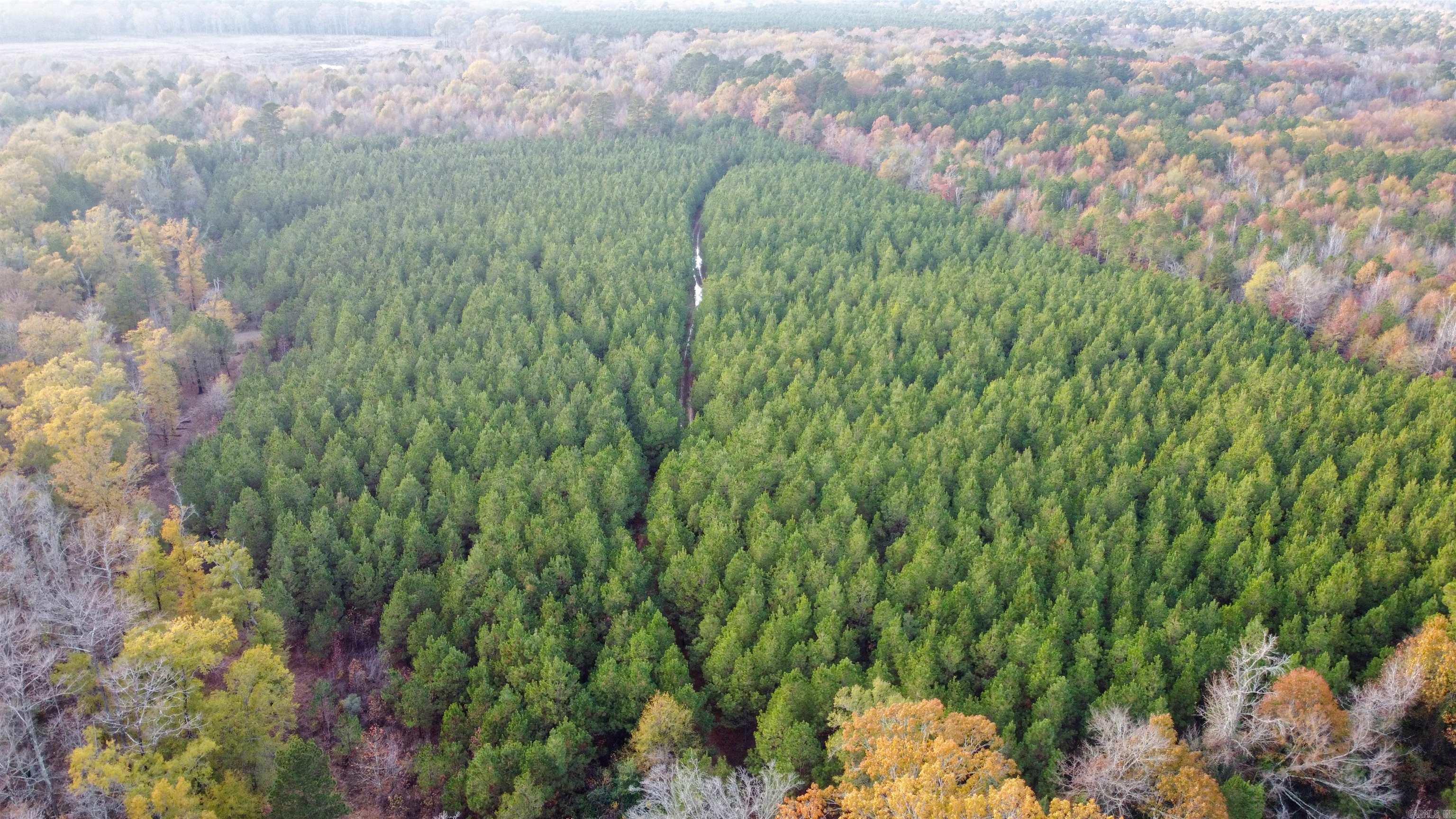 80 acres Calhoun 199  Hampton, AR