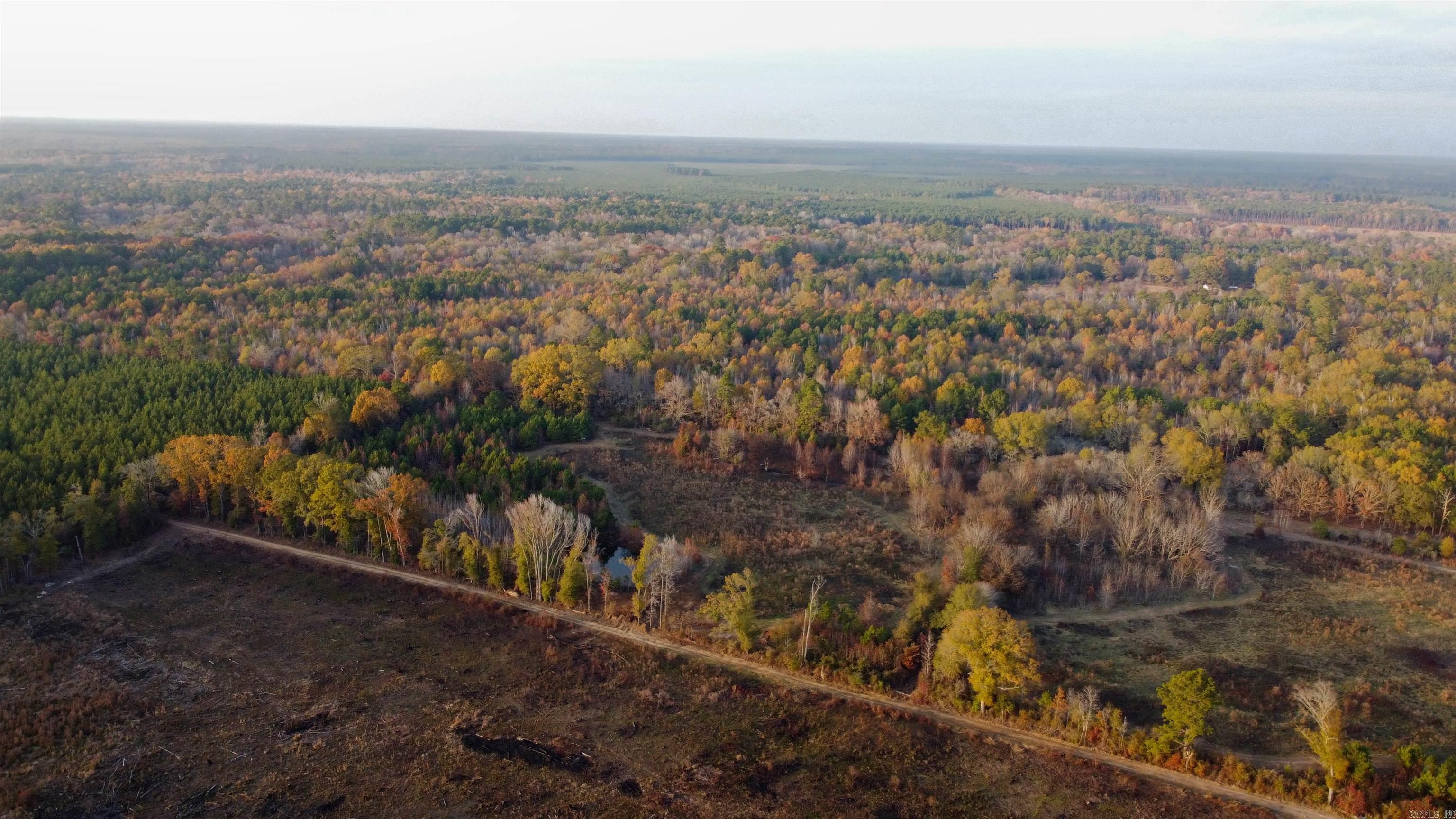 80 acres Calhoun 199  Hampton, AR