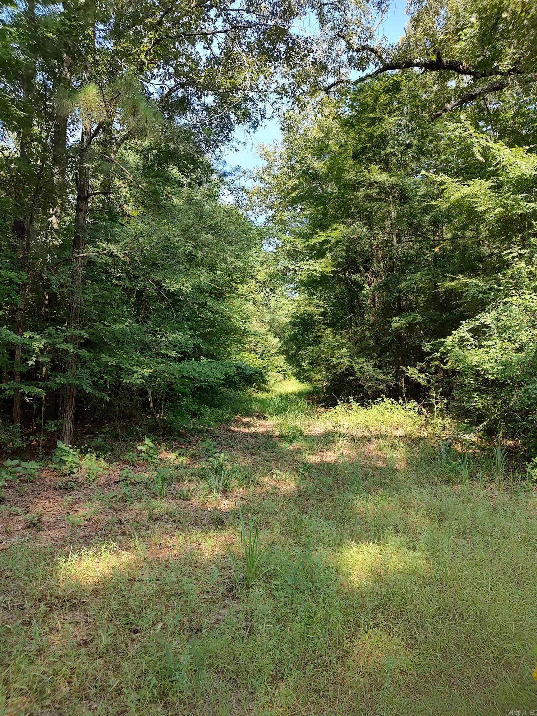 80 acres Calhoun 199  Hampton, AR