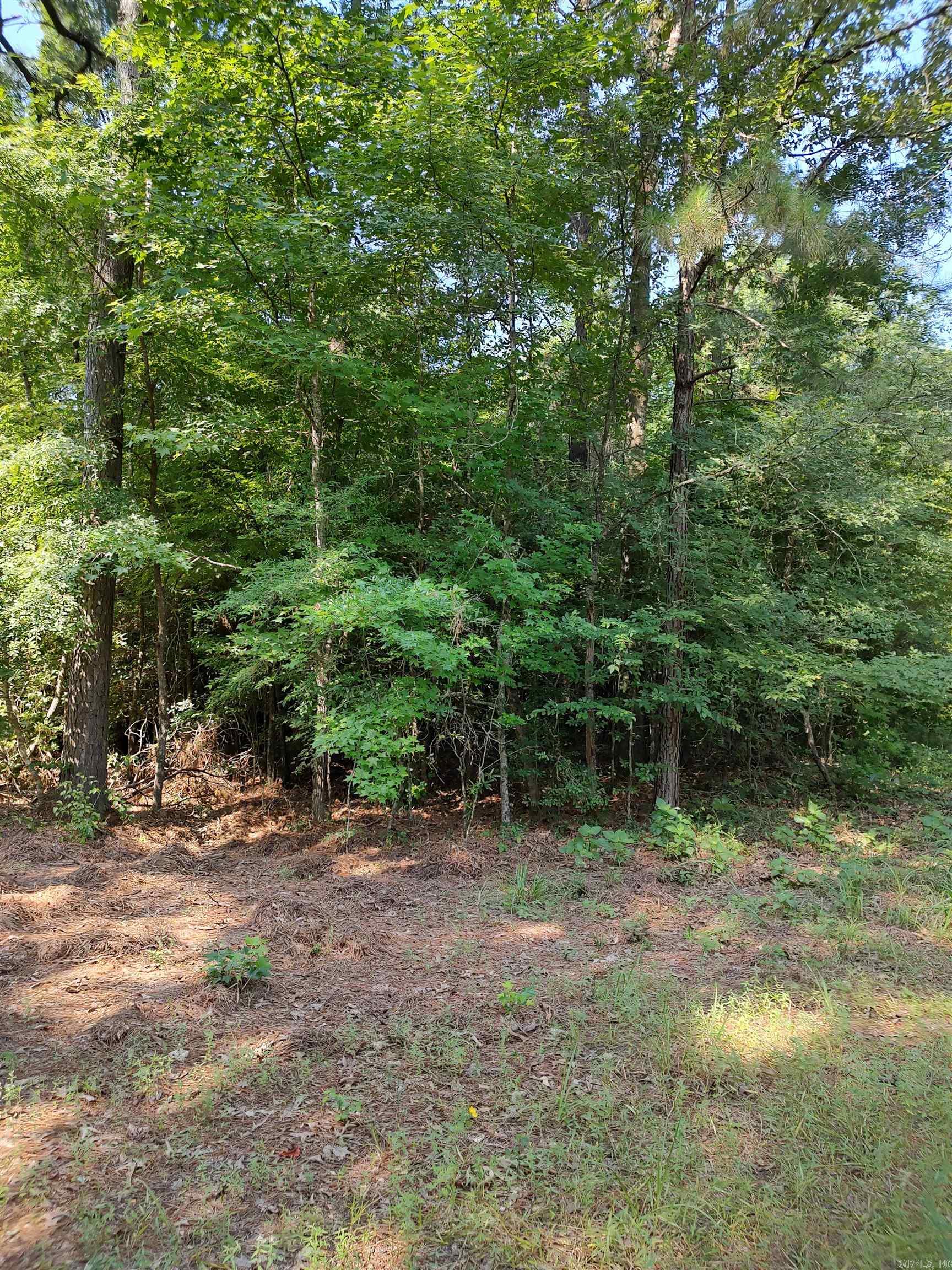 80 acres Calhoun 199  Hampton, AR
