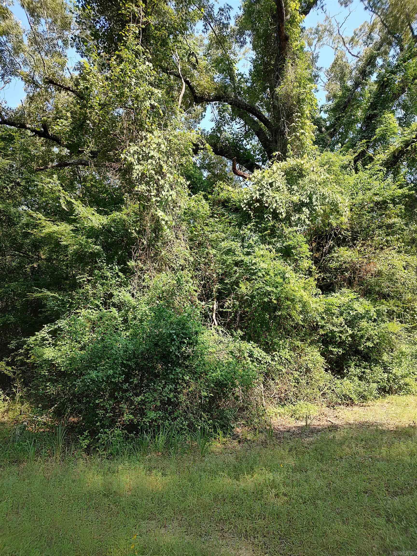 80 acres Calhoun 199  Hampton, AR