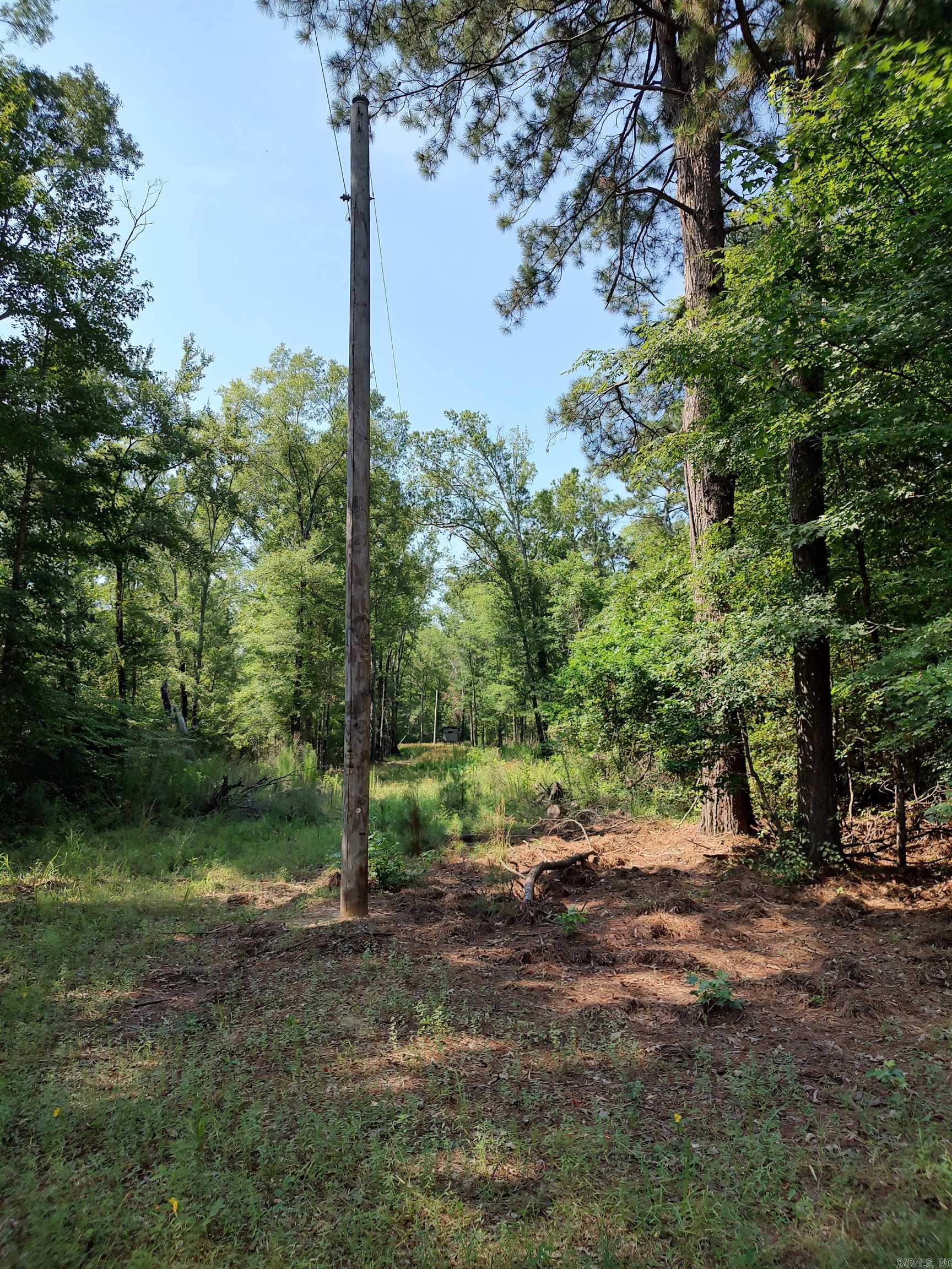 80 acres Calhoun 199  Hampton, AR