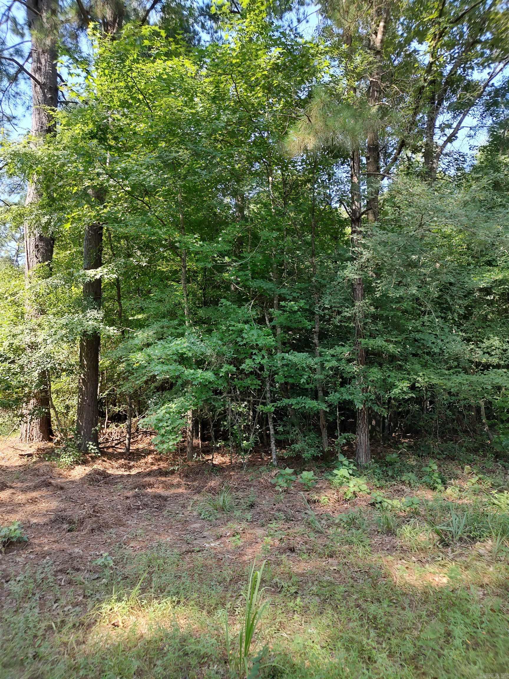 80 acres Calhoun 199  Hampton, AR