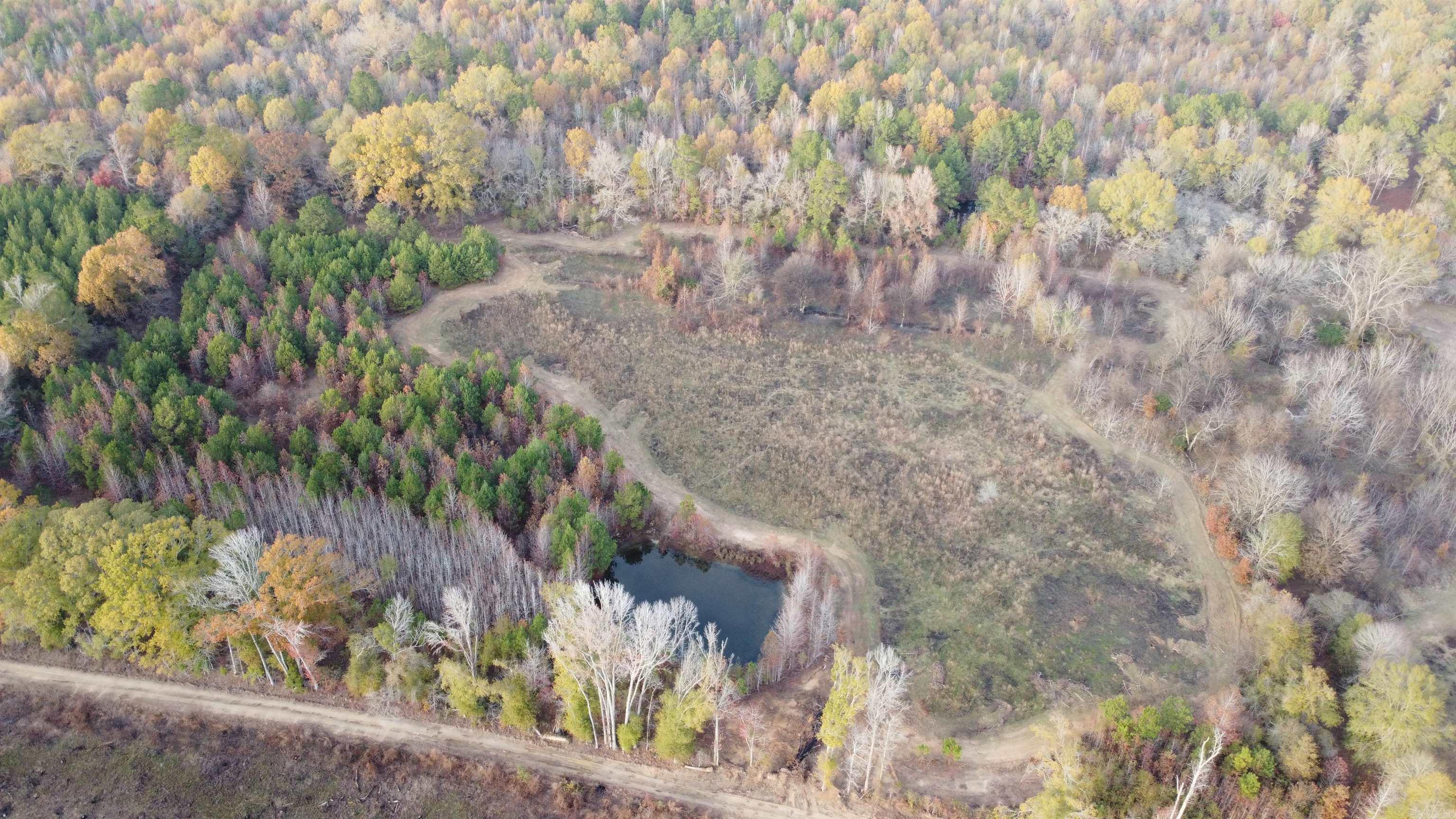 80 acres Calhoun 199  Hampton, AR