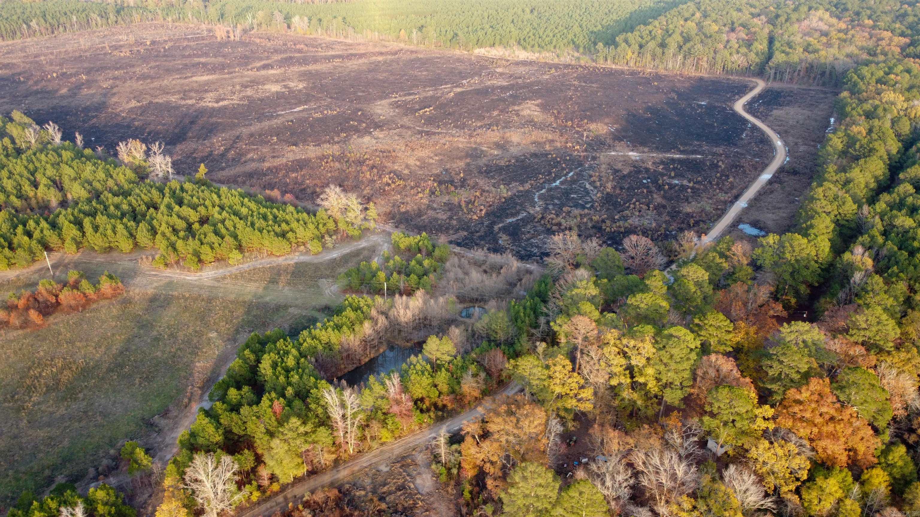 80 acres Calhoun 199  Hampton, AR