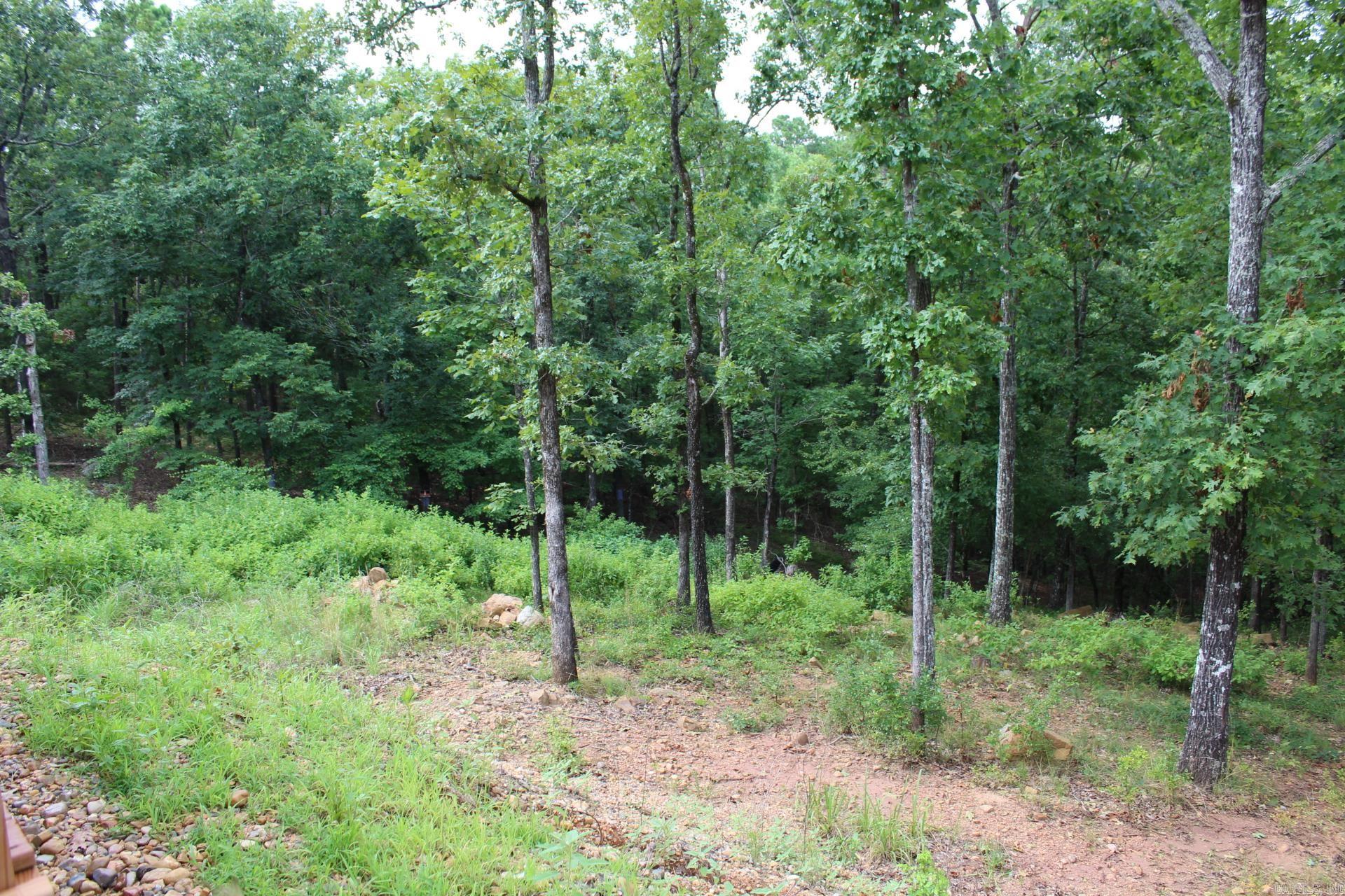 17 Diamond City Lane  Murfreesboro, AR