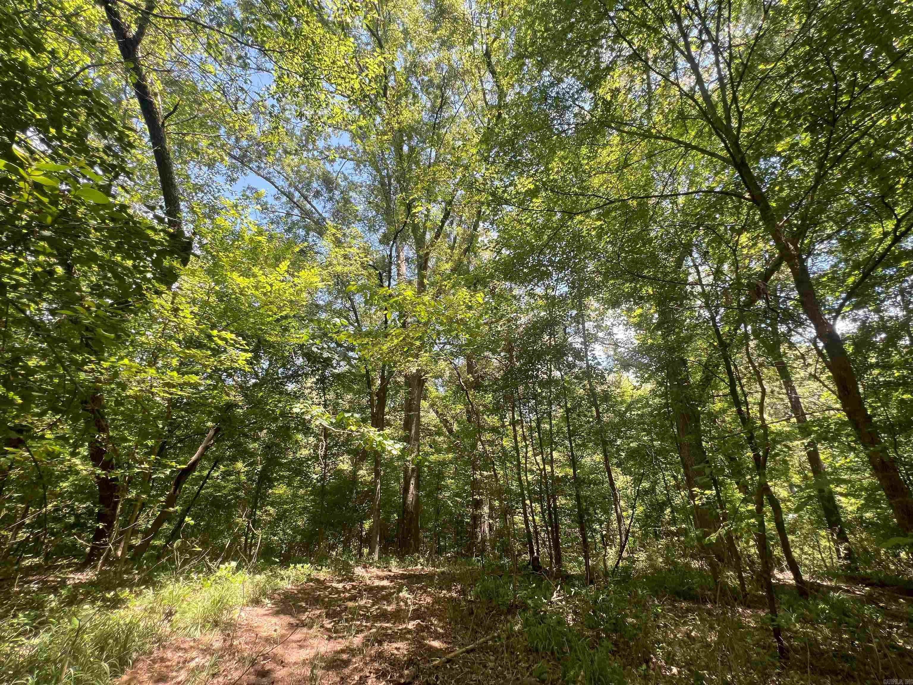 000 US Highway 278  Warren, AR