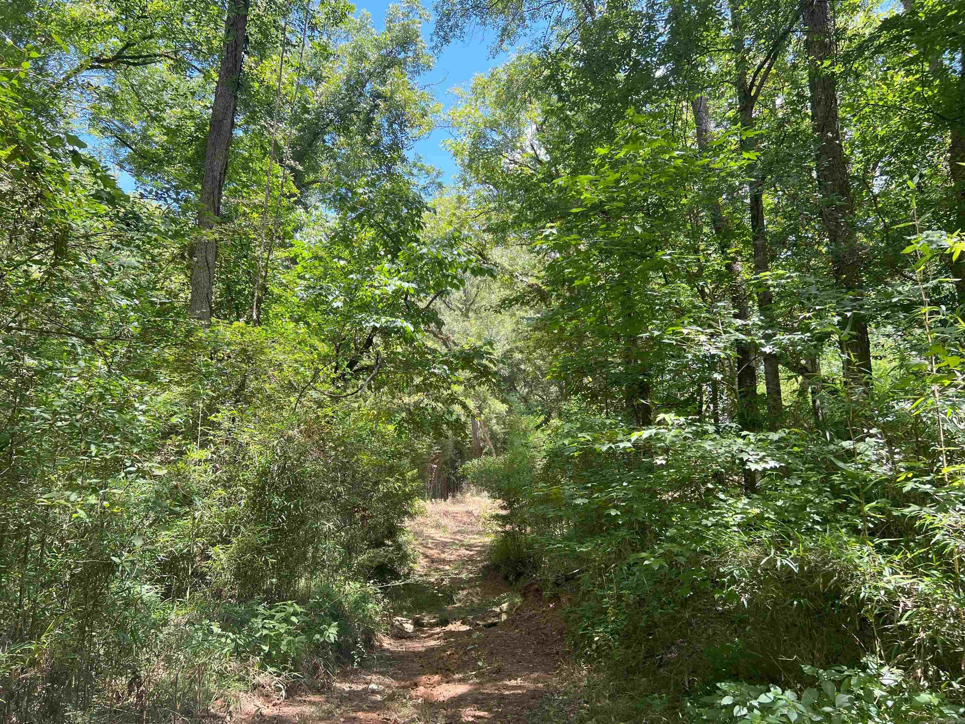 000 US Highway 278  Warren, AR