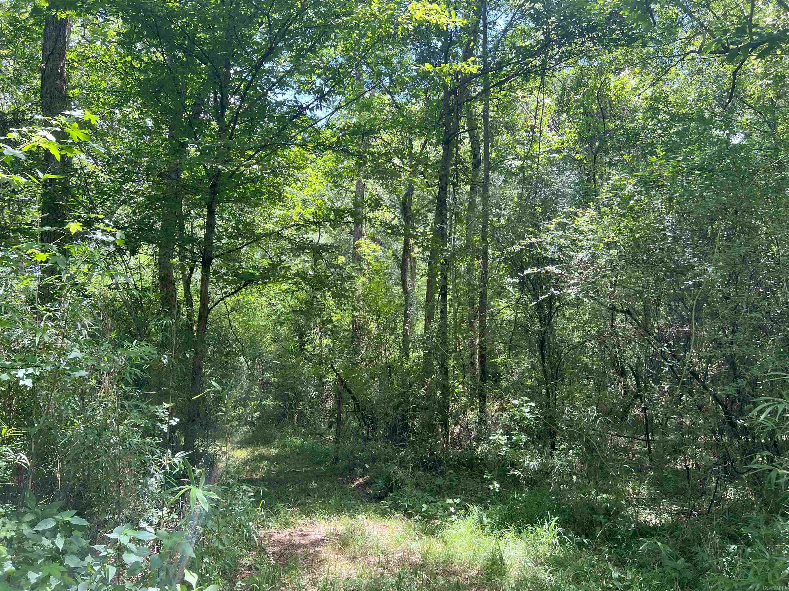 000 US Highway 278  Warren, AR