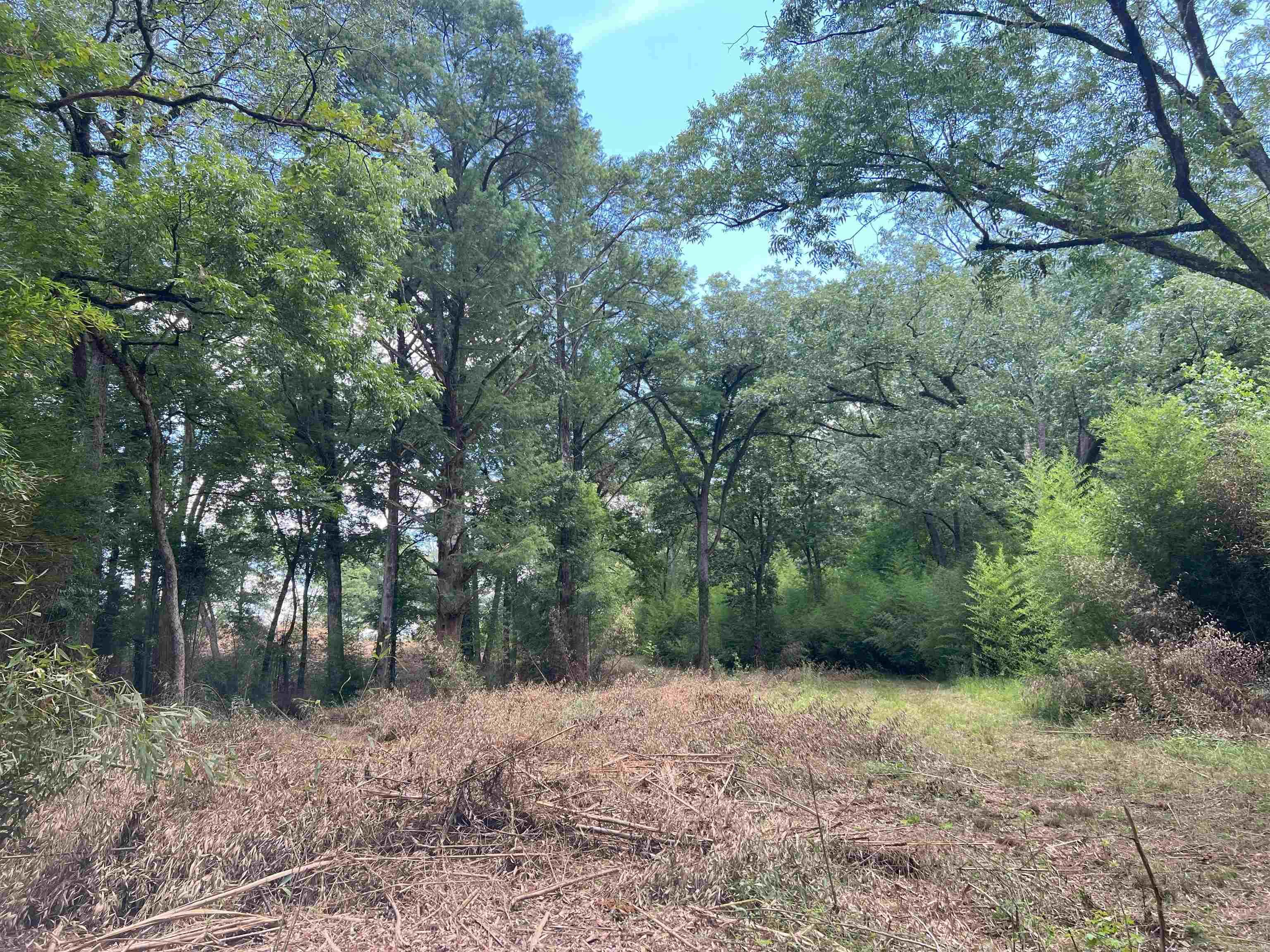 000 US Highway 278  Warren, AR