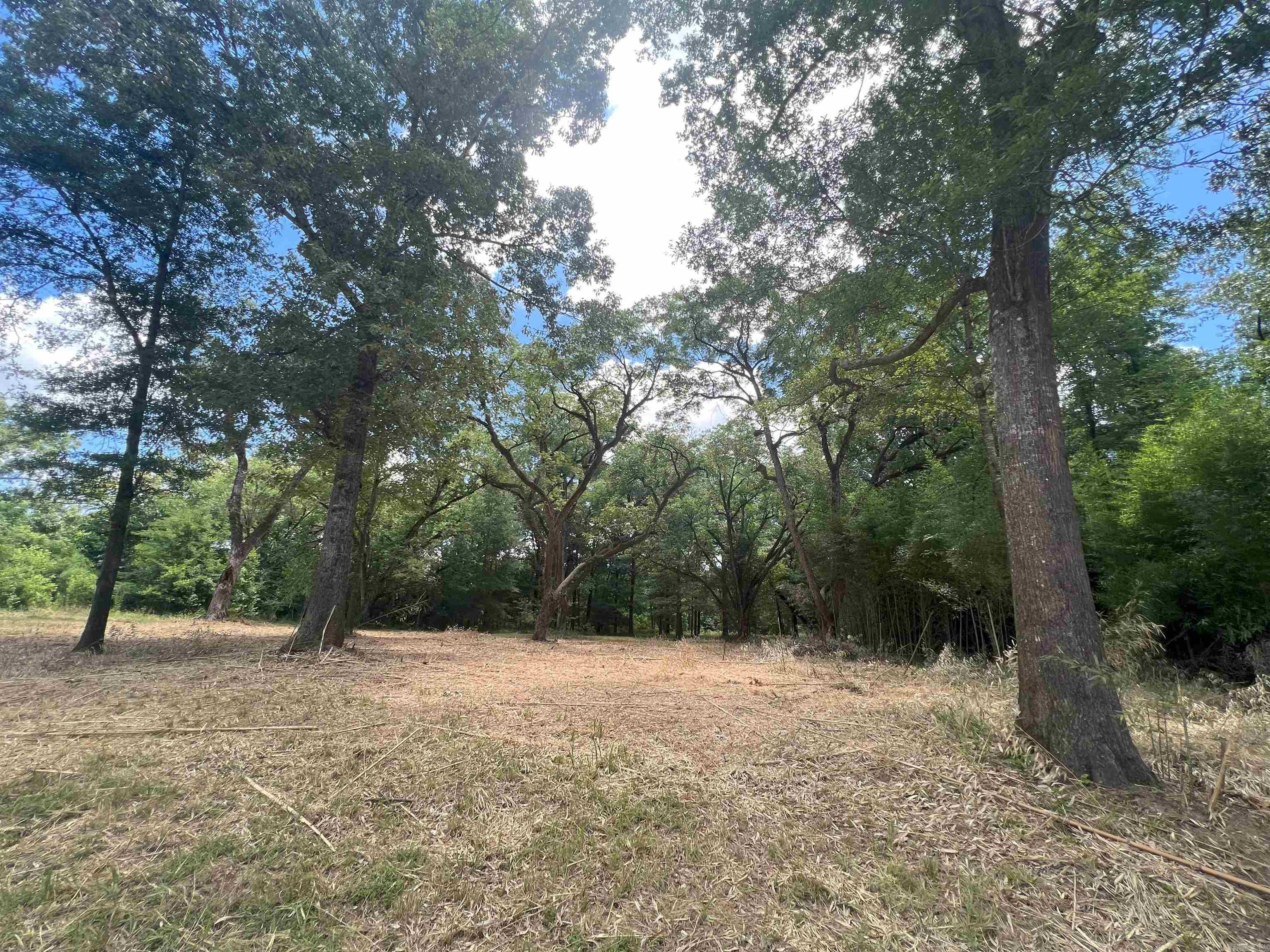 000 US Highway 278  Warren, AR