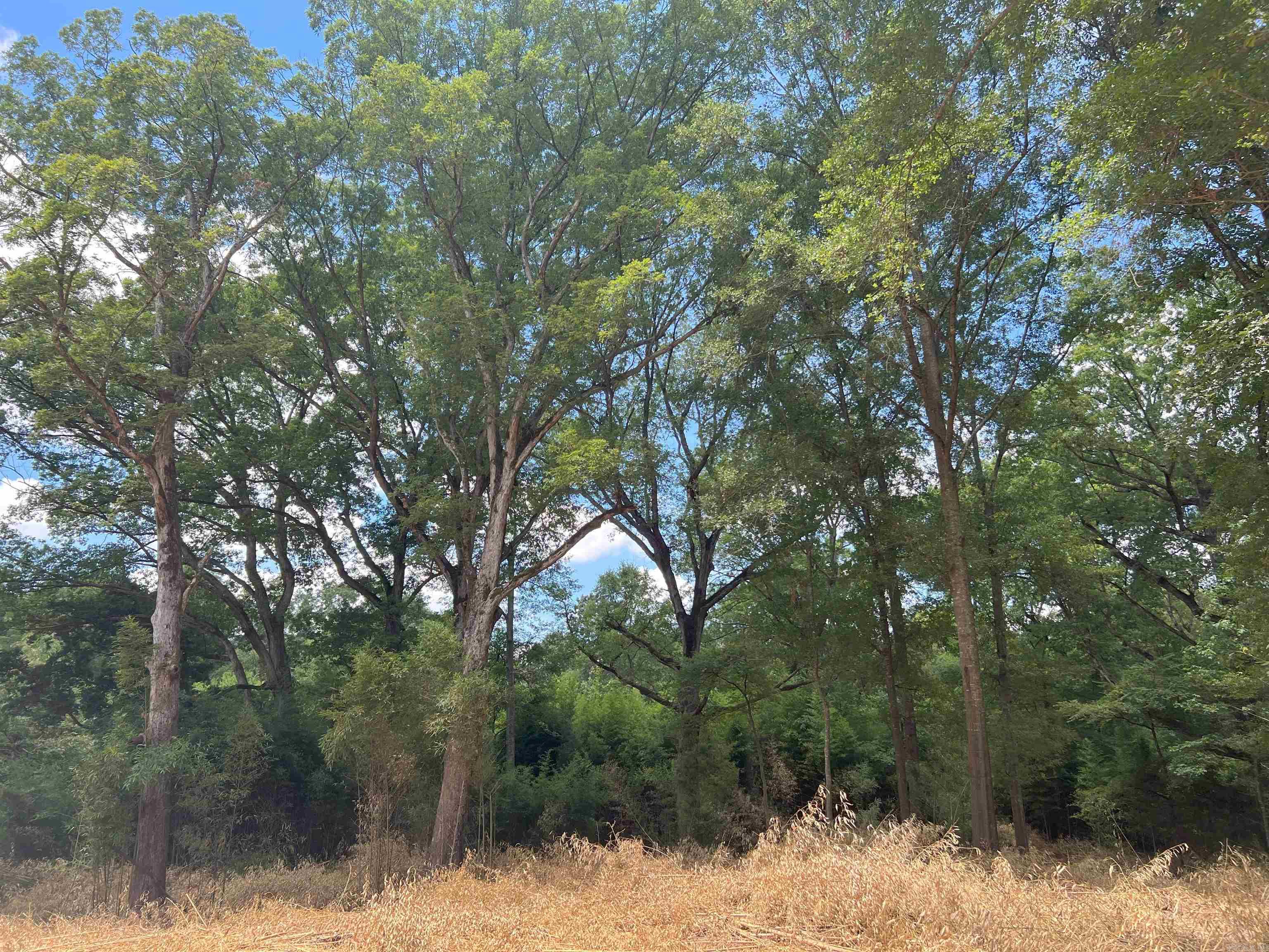 000 US Highway 278  Warren, AR