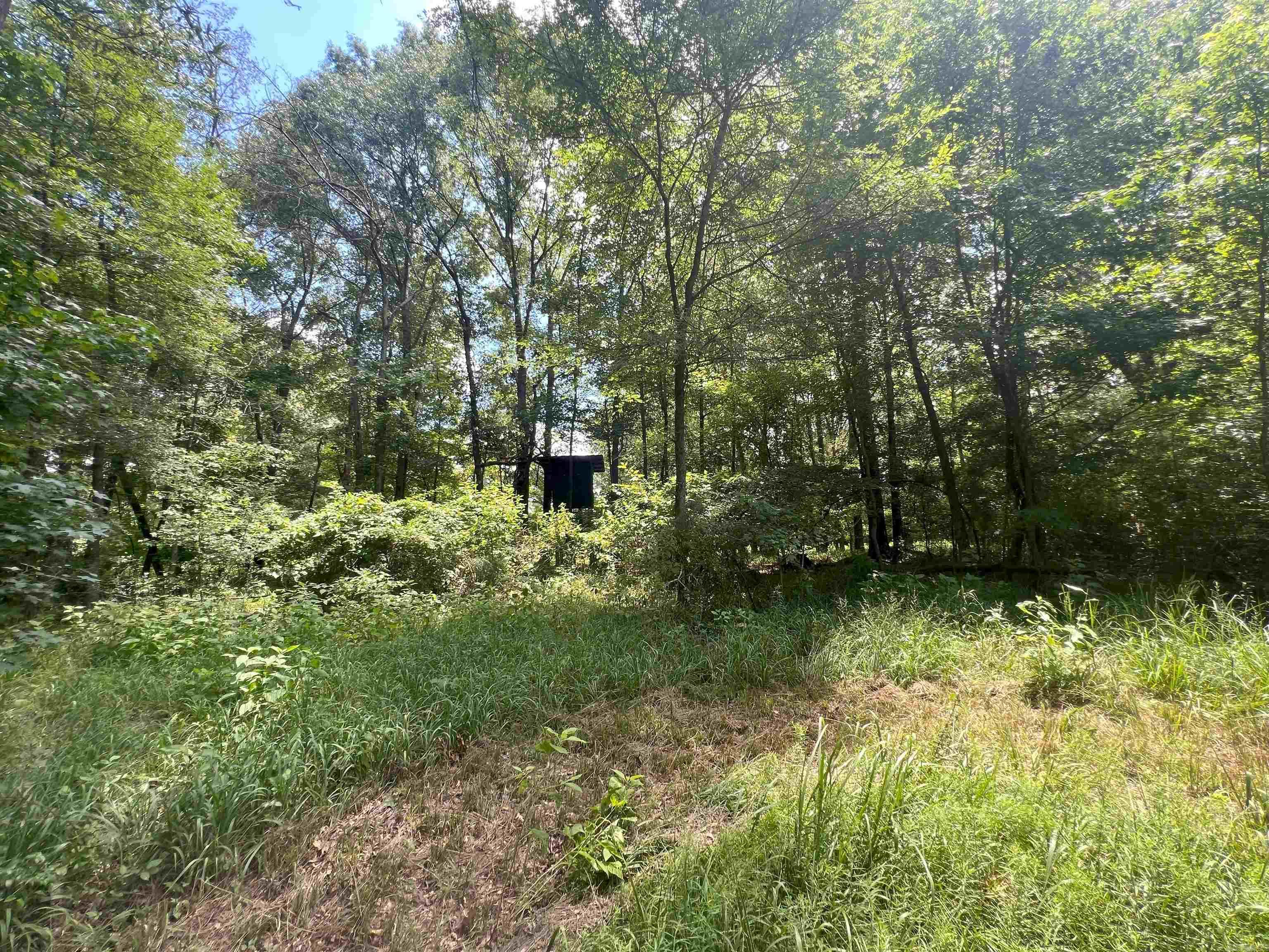 000 US Highway 278  Warren, AR