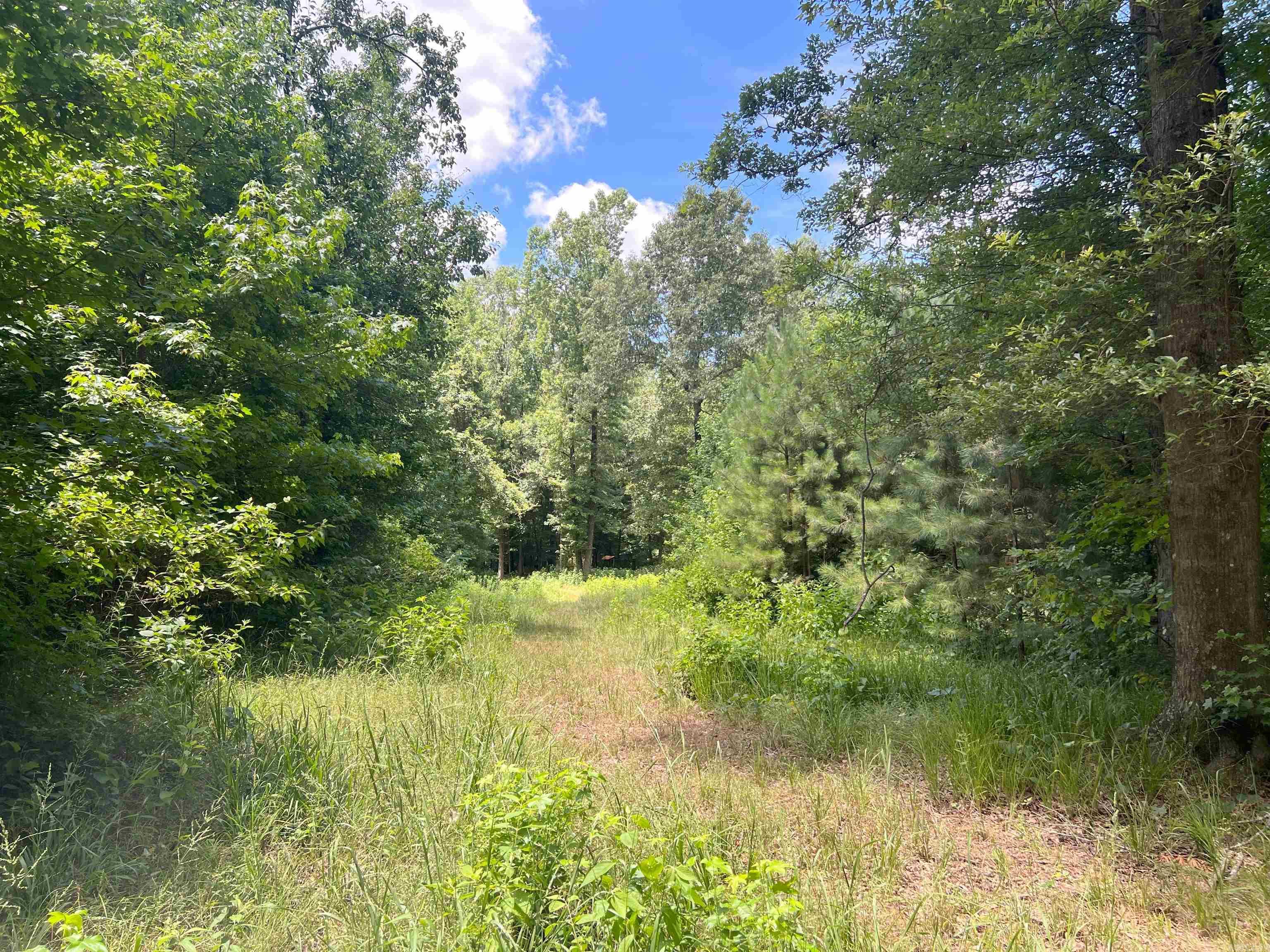 000 US Highway 278  Warren, AR