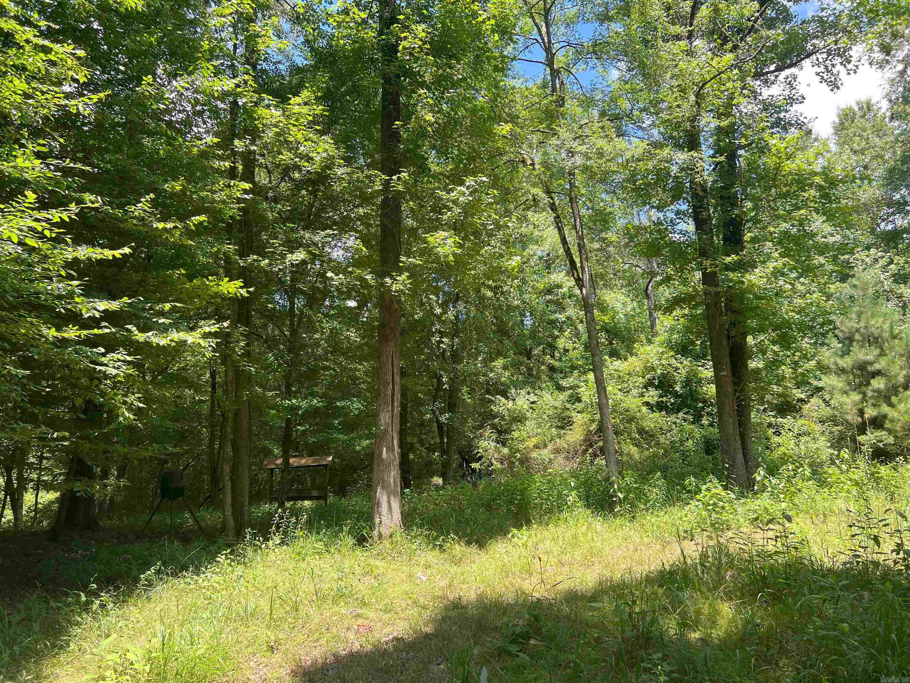 000 US Highway 278  Warren, AR