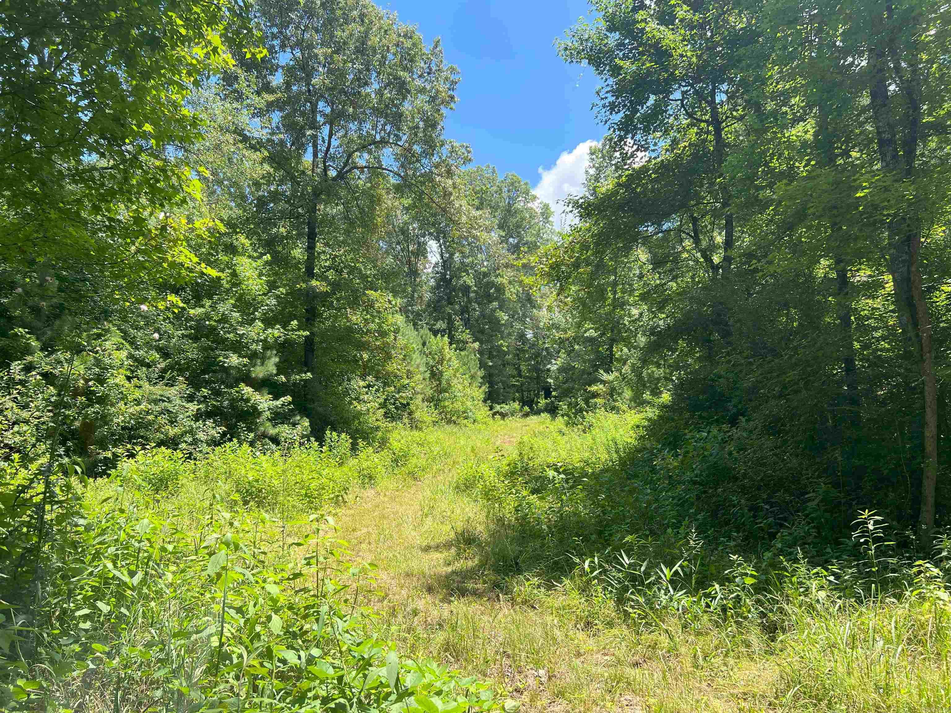 000 US Highway 278  Warren, AR