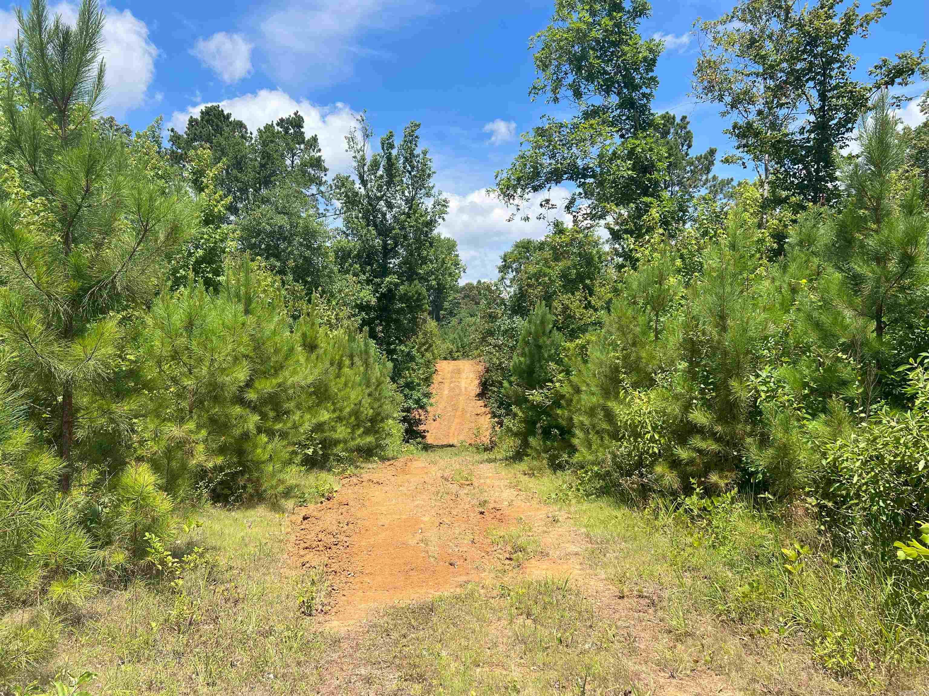 000 US Highway 278  Warren, AR