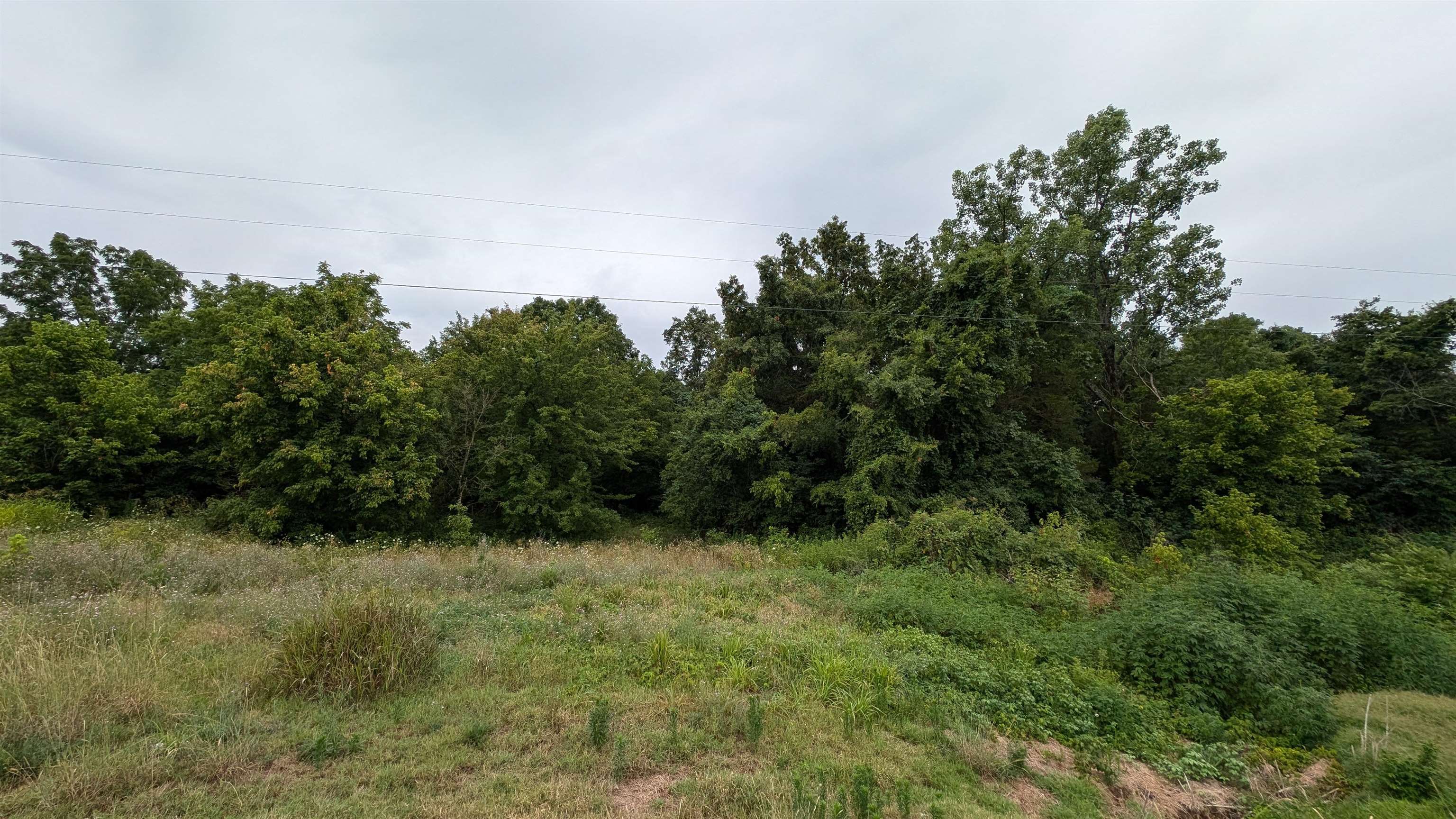 4525 56  Evening Shade, AR