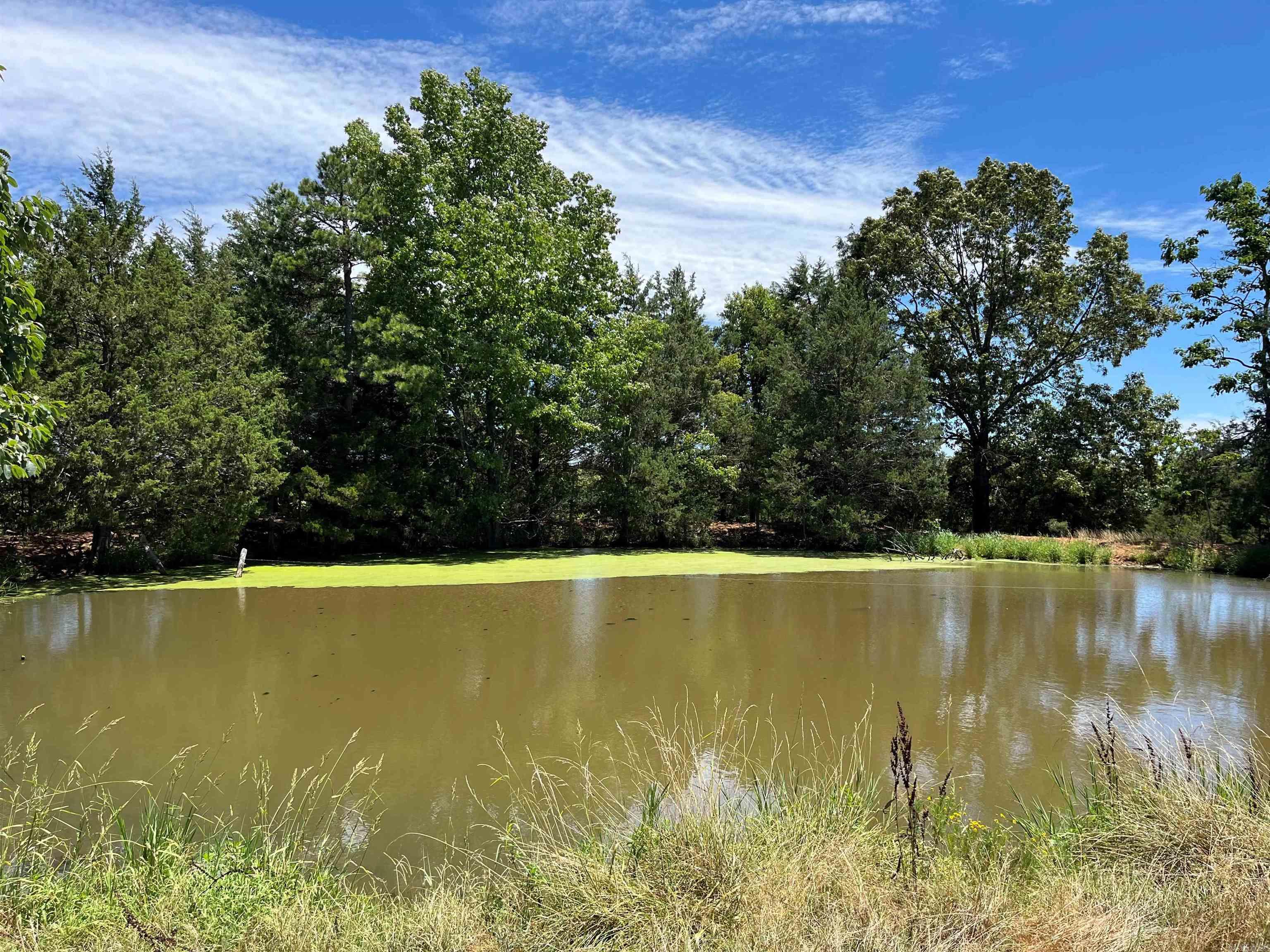 00 Gaylor  Mountain View, AR