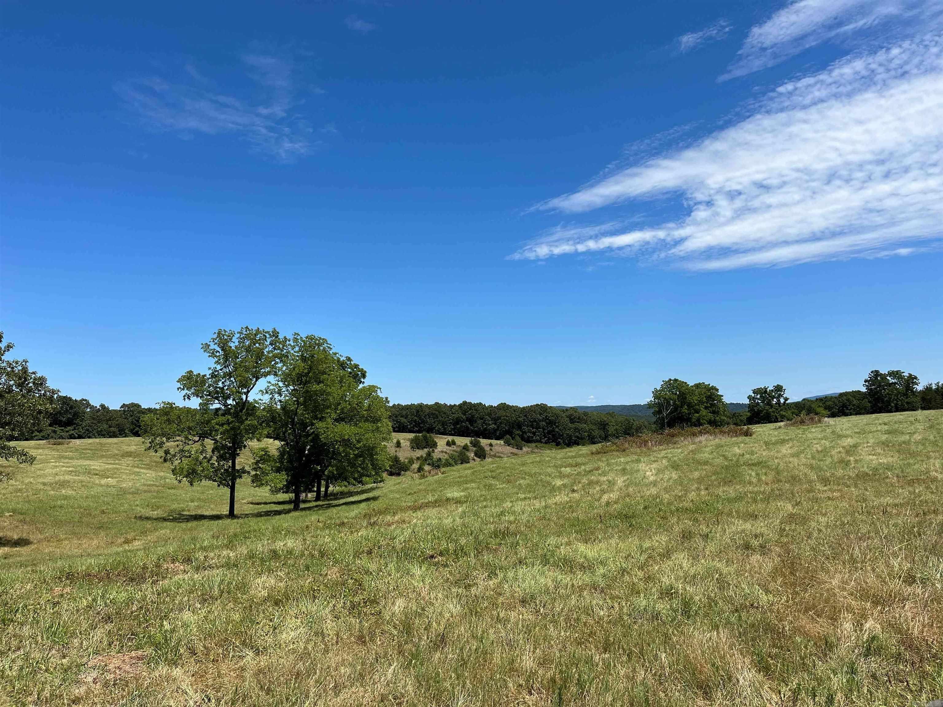 00 Gaylor  Mountain View, AR