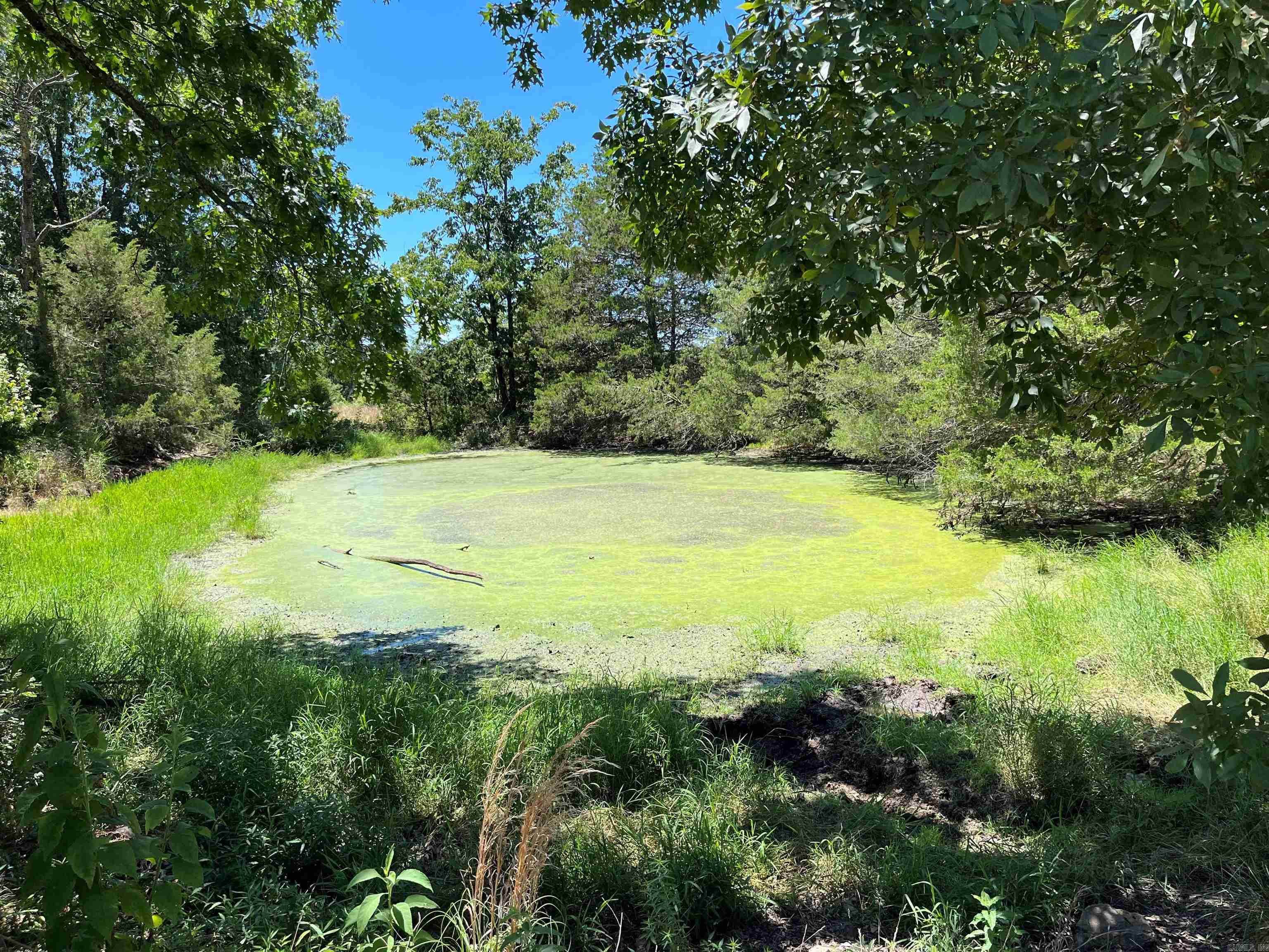 00 Gaylor  Mountain View, AR